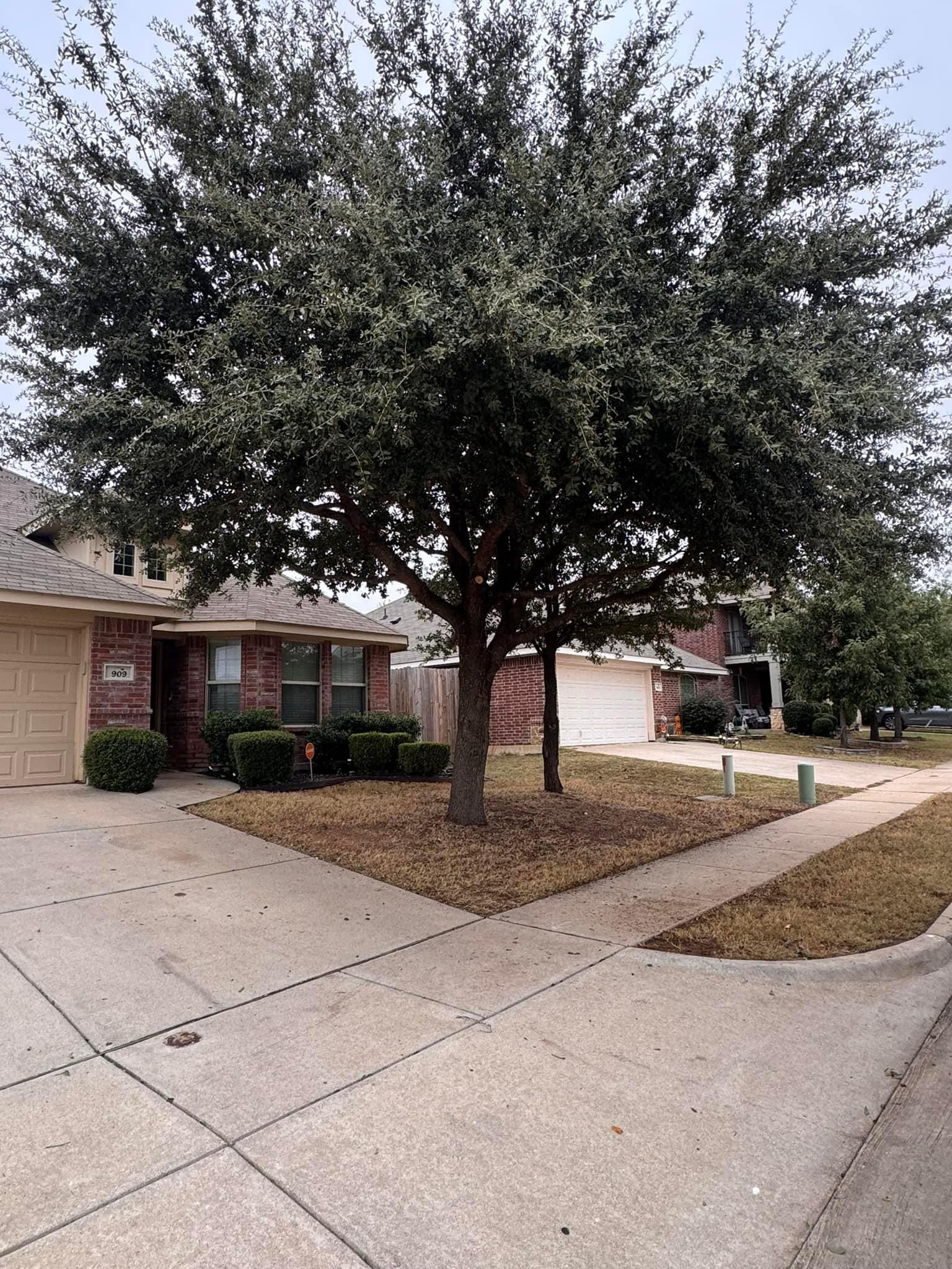  for Mora’s Lawn Services in Crowley,  TX