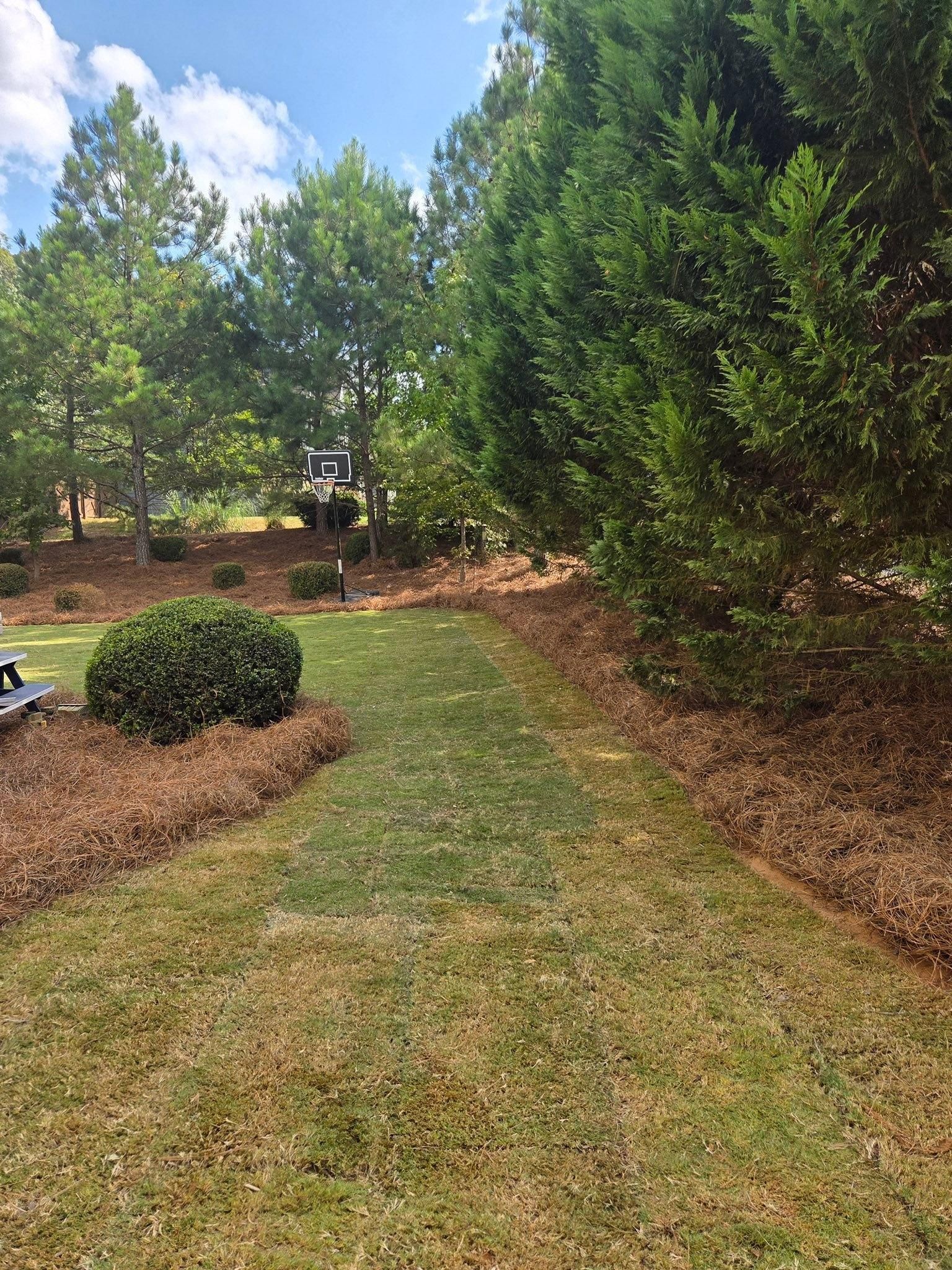  for GA Lawn Care Pros in Jefferson, GA