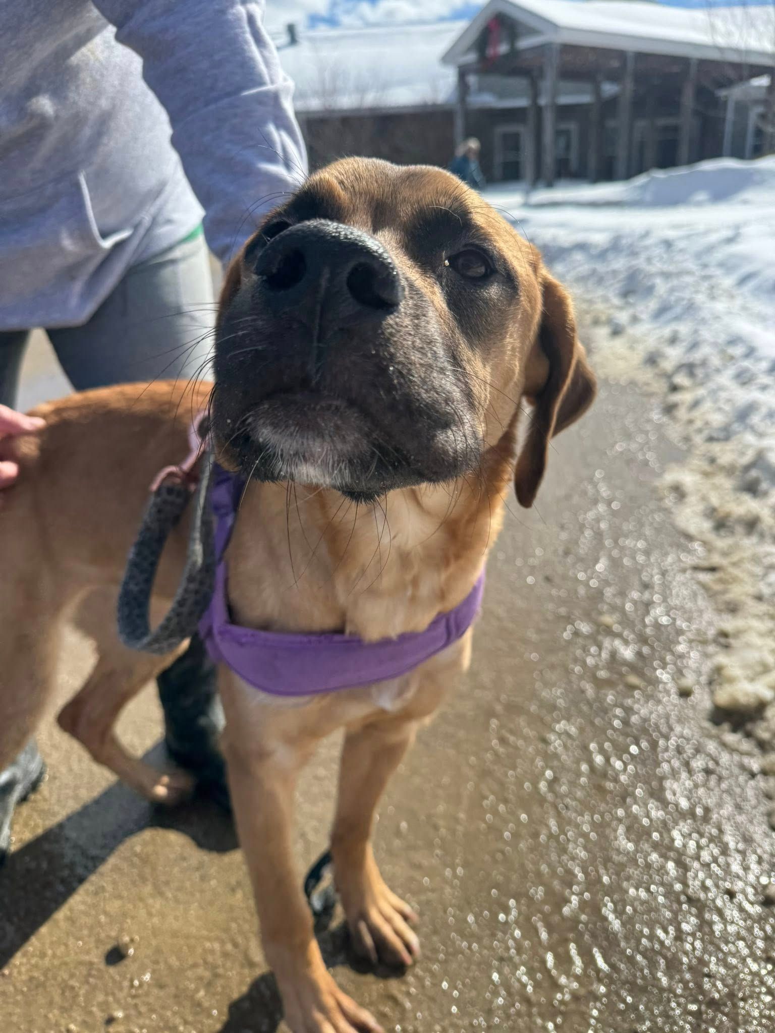  for Sullivan Sanctuary of Maine in Brunswick, ME