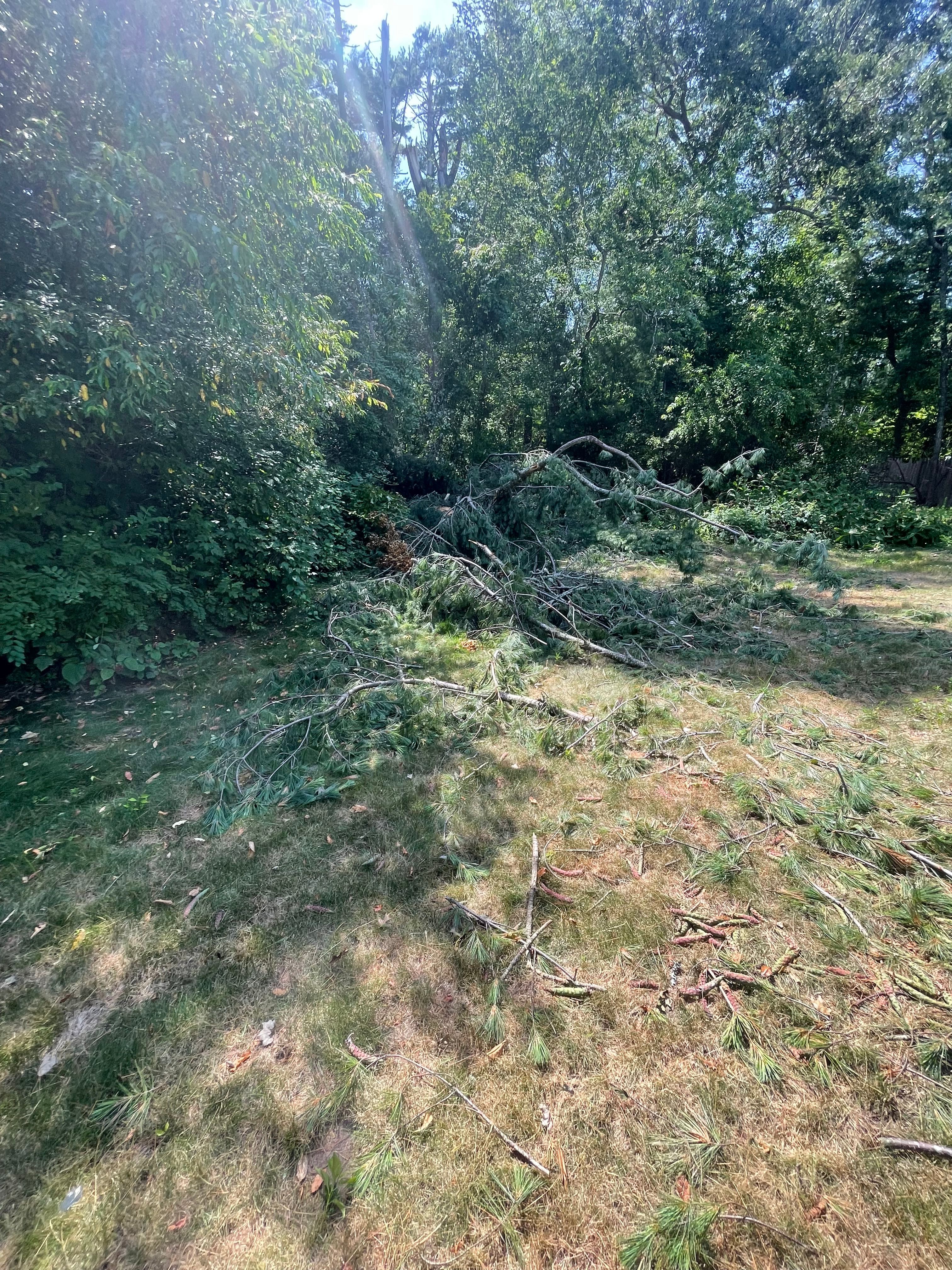 for Lucas Property Maintenance LLC in New Bedford, MA