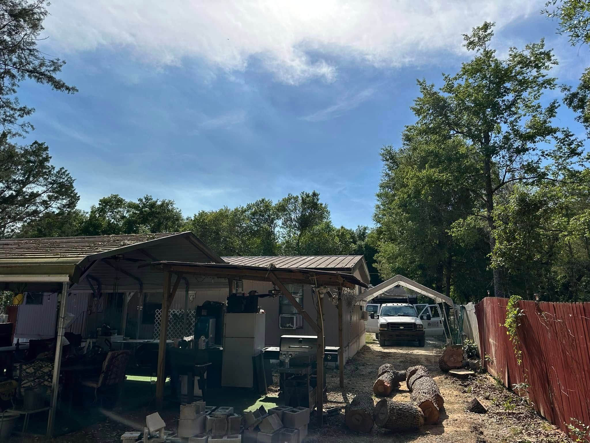  for Mr Timber in Ocala, FL