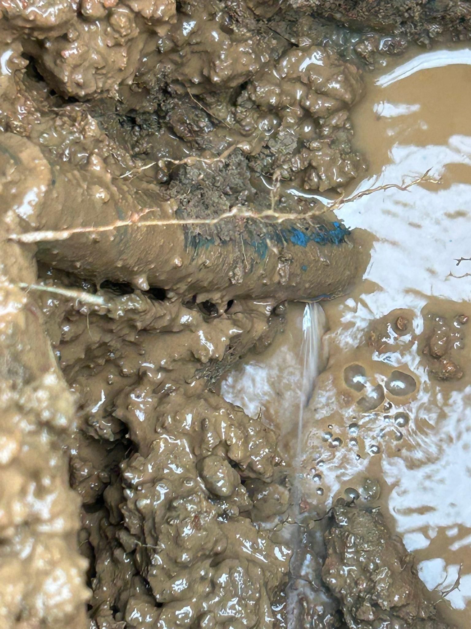  for Pro Plumbing and Home Improvements in Goodlettsville, TN