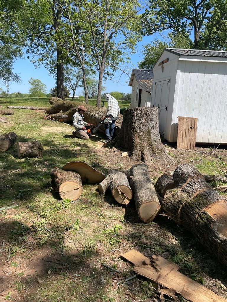 Tree Removal for Rosales Landscaping LLC in Lake Gaston, North Carolina