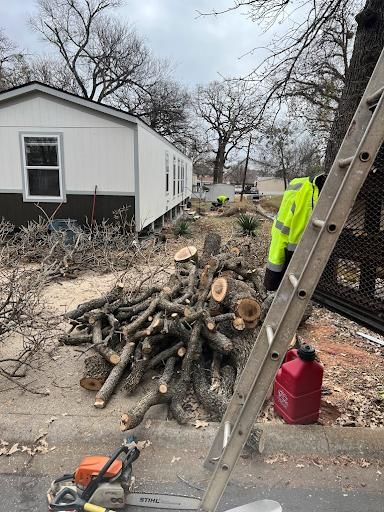  for Imber’s Tree Service LLC in Arlington, TX