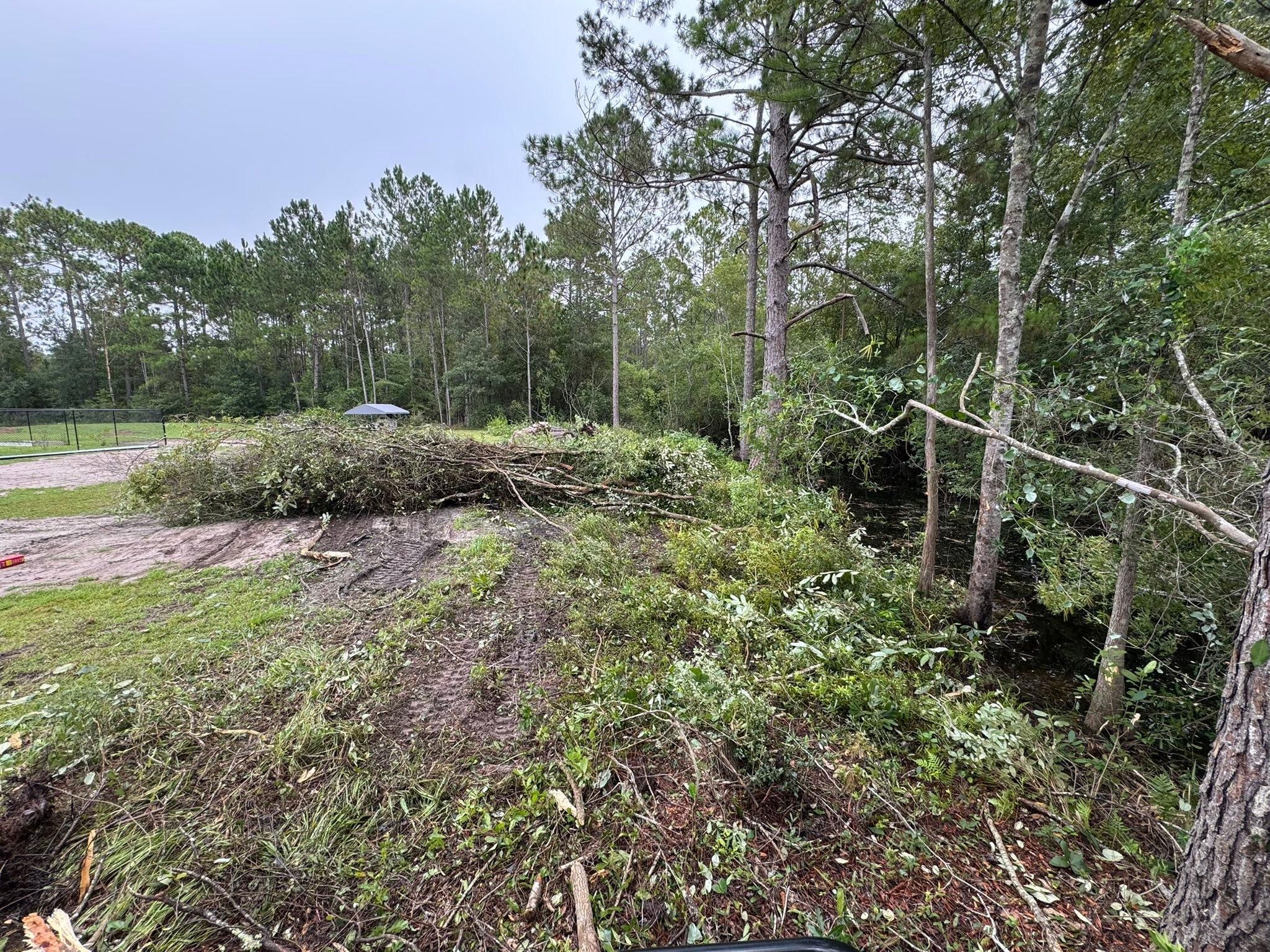  for DLC Land Clearing in Glen Saint Mary, FL