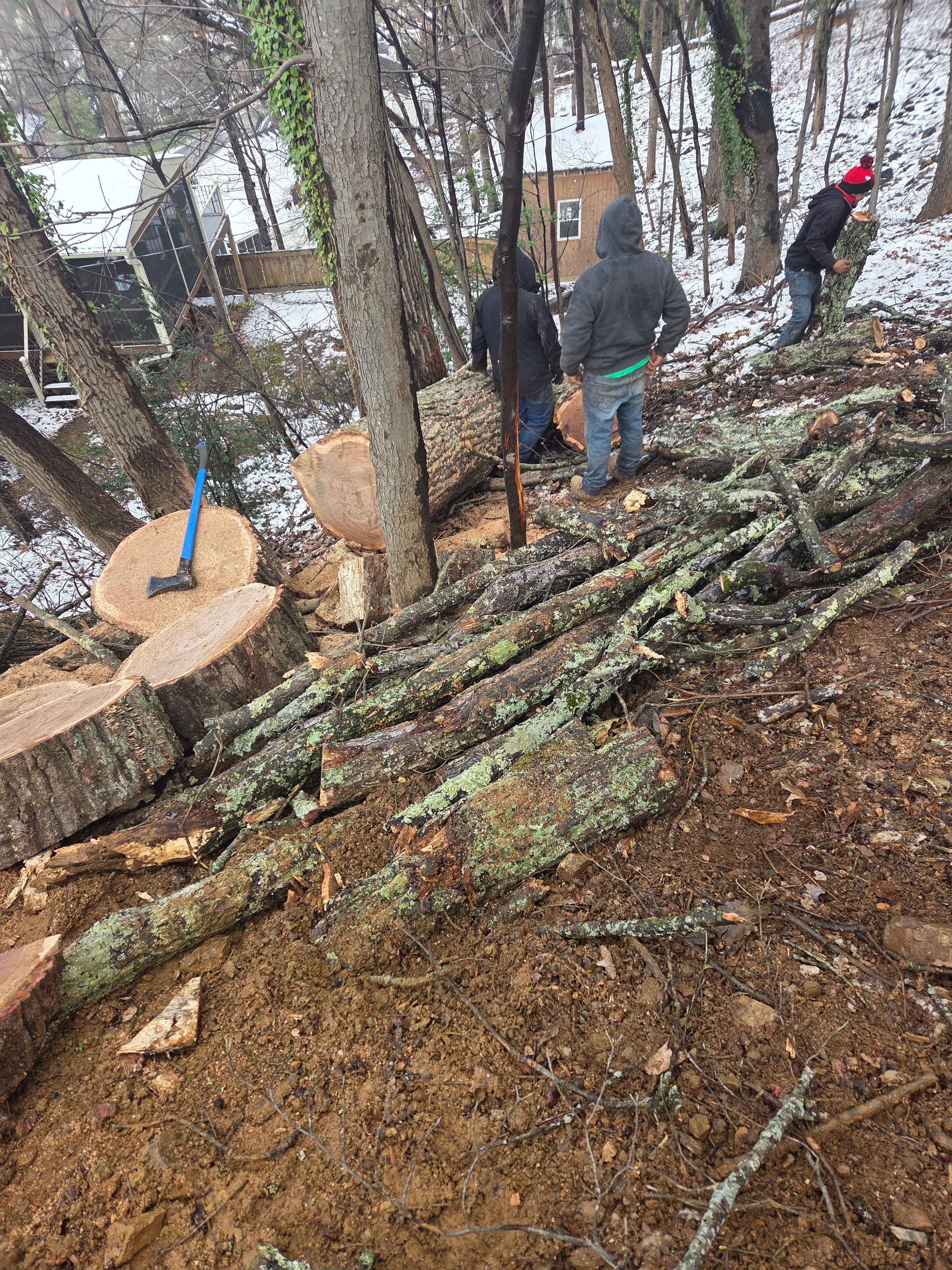  for Green Brothers Tree Services in Blacksburg, VA