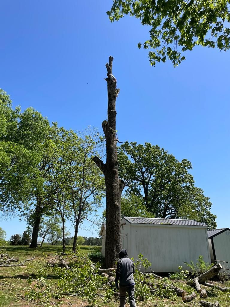 Tree Removal for Rosales Landscaping LLC in Lake Gaston, North Carolina