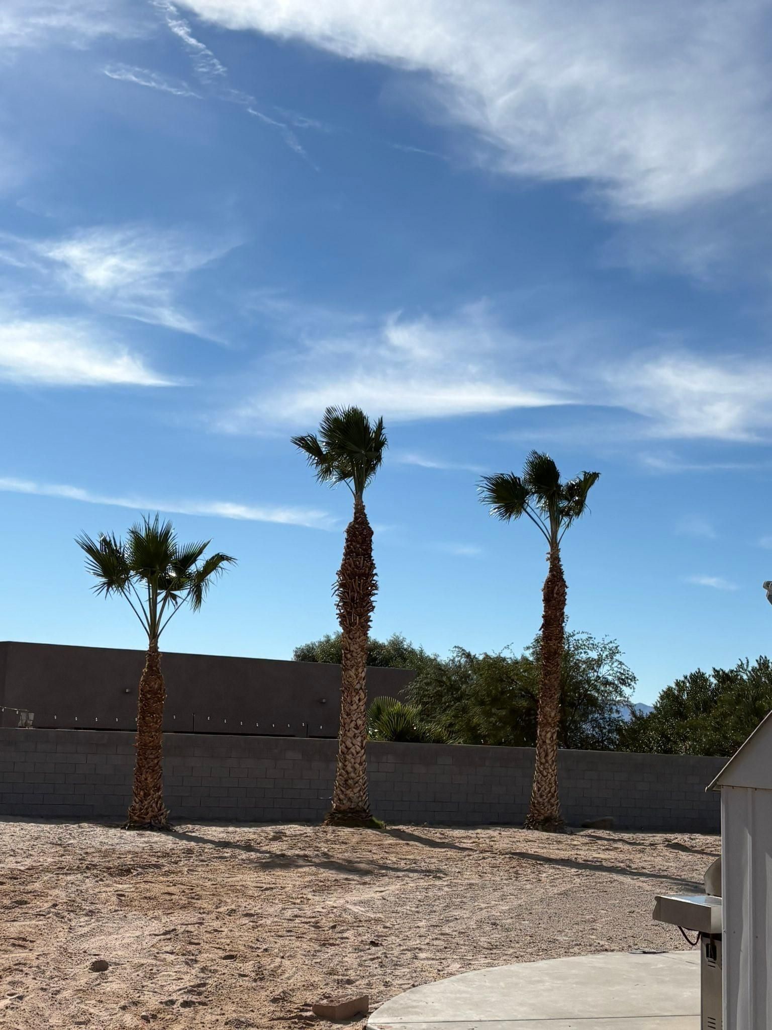  for Top Notch Landscape Services LLC in Mohave Valley, AZ