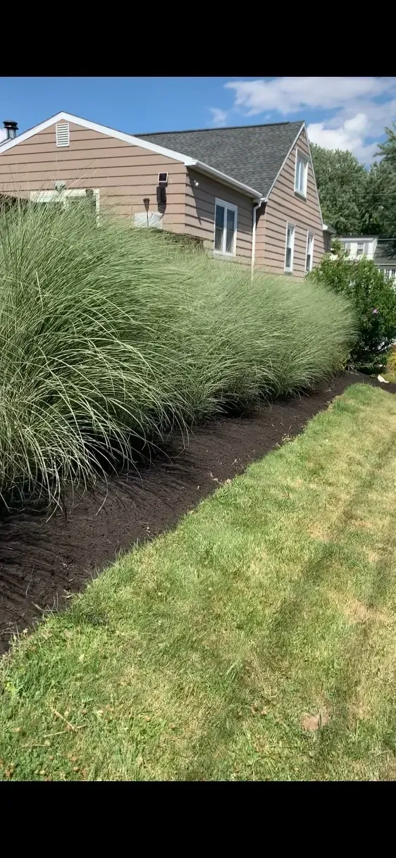 for Perfect Lawn Solutions LLC in Marshall, WI