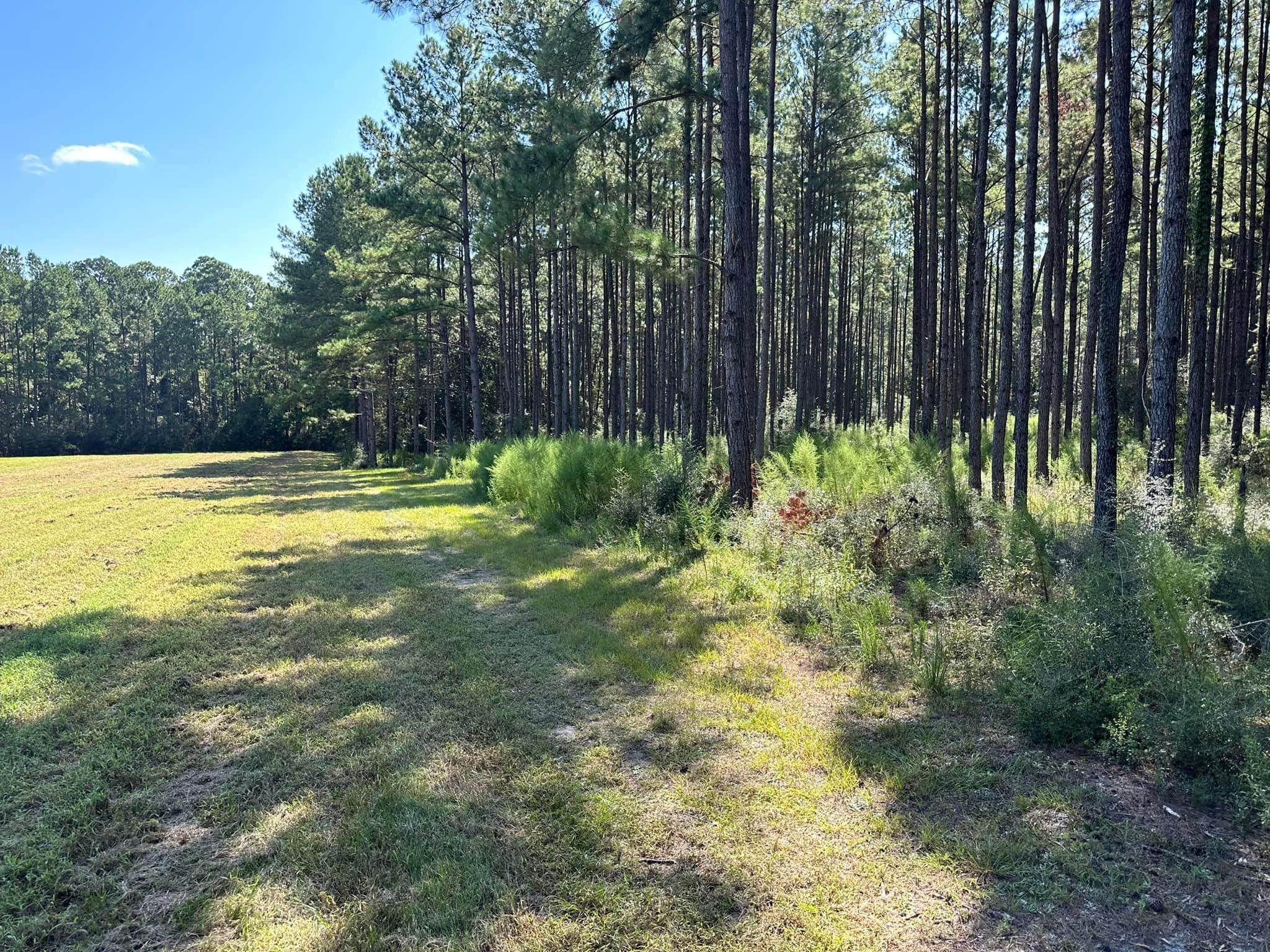  for White’s Land Maintenance in Milton,, FL