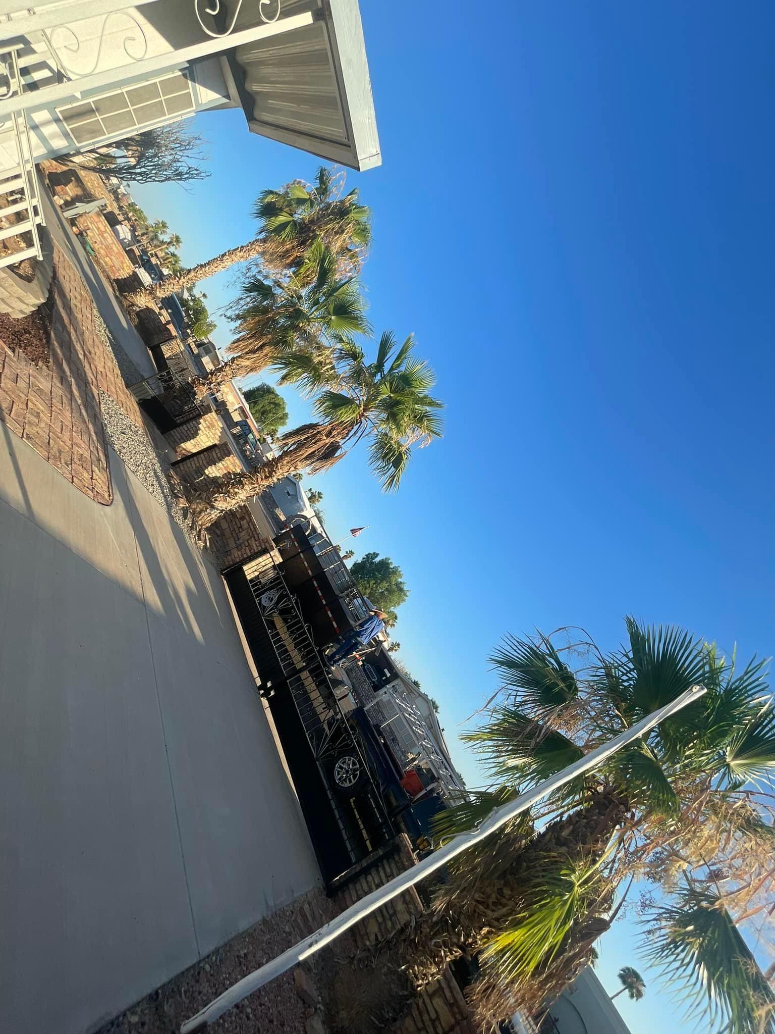  for Oliver L. Palm & Tree services in Yuma County, AZ