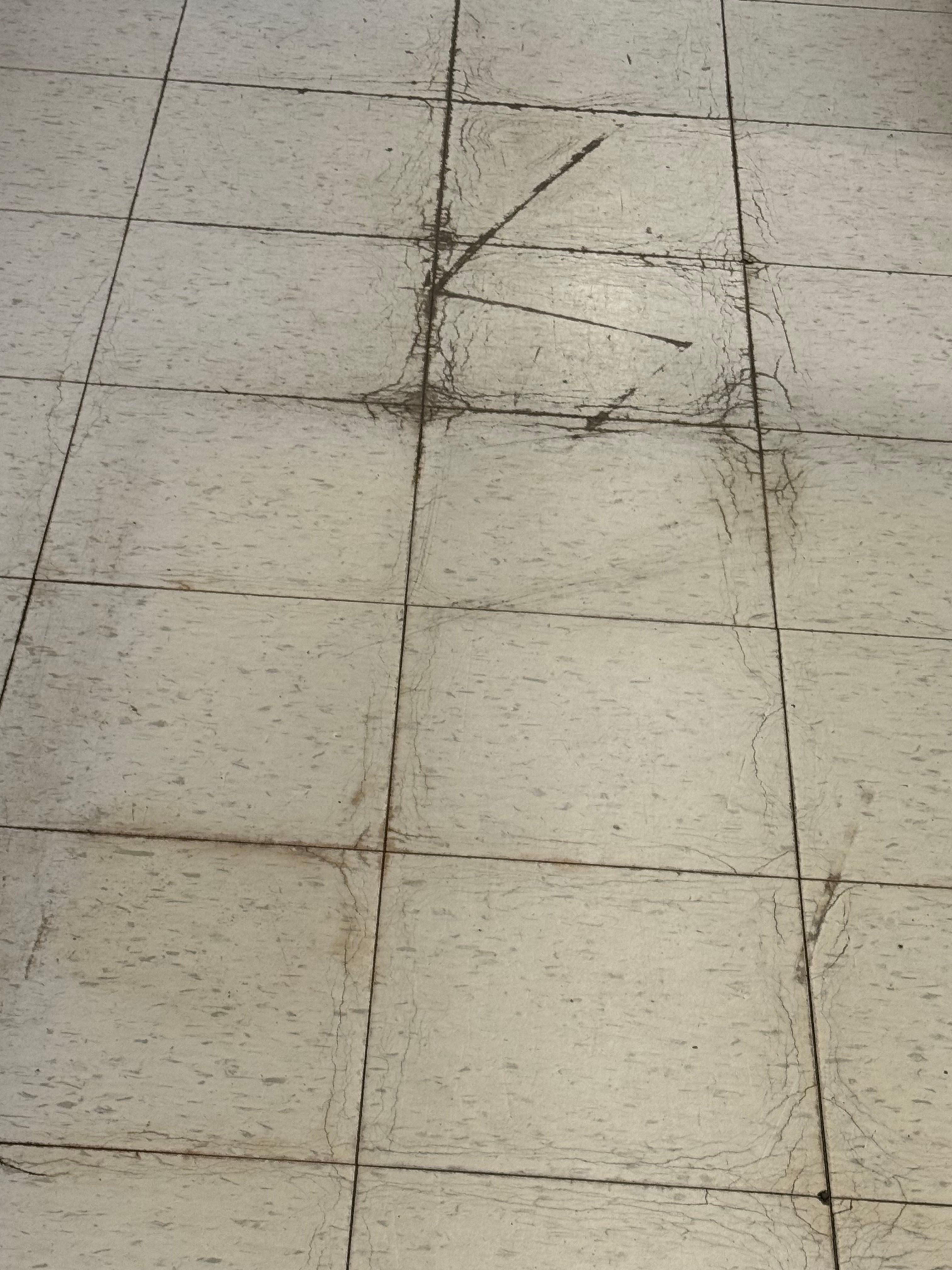  for Thurmand Commercial Cleaning in Battle Creek, MI