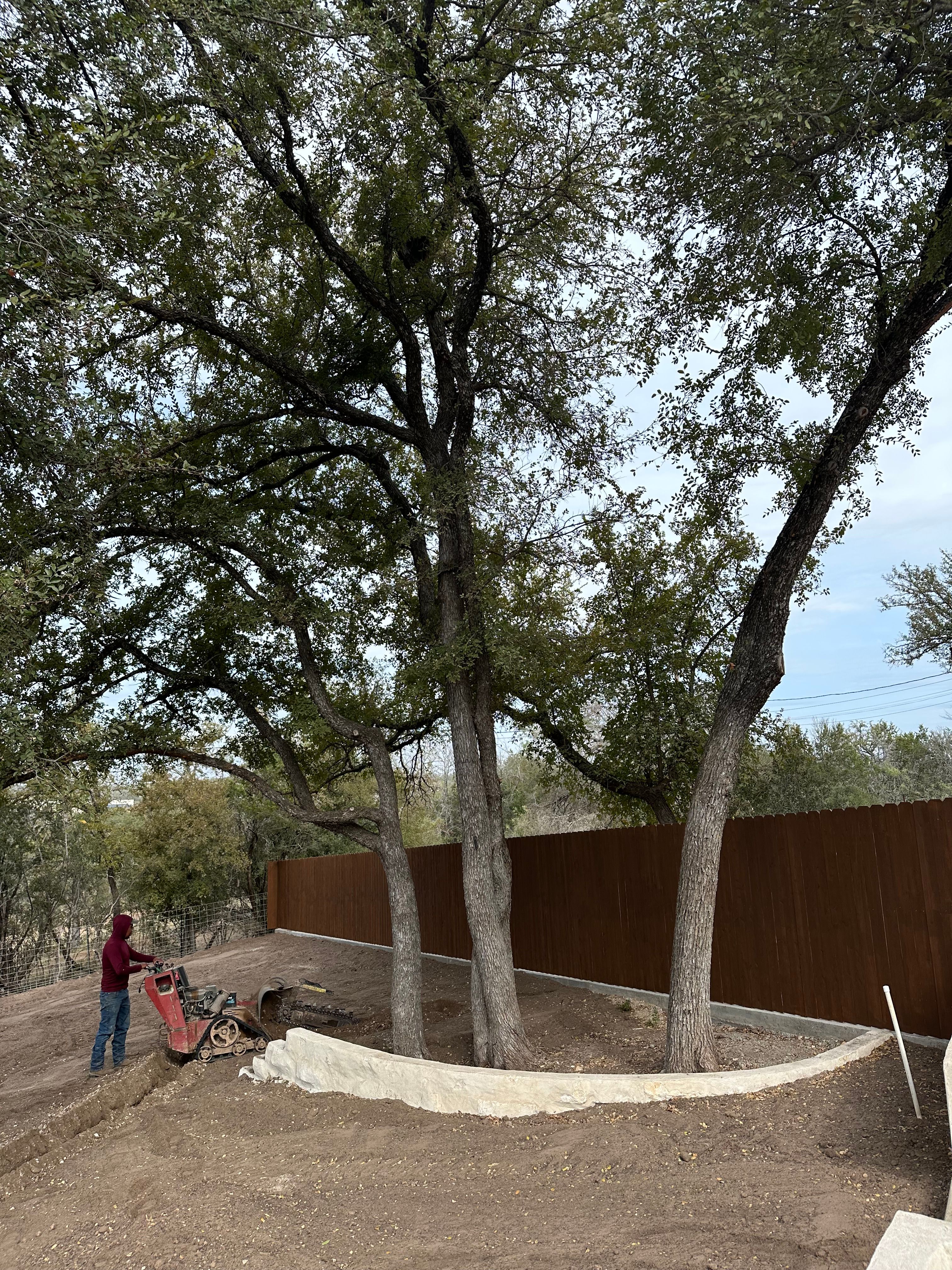  for Chavira Landscape & Irrigation in Austin, TX