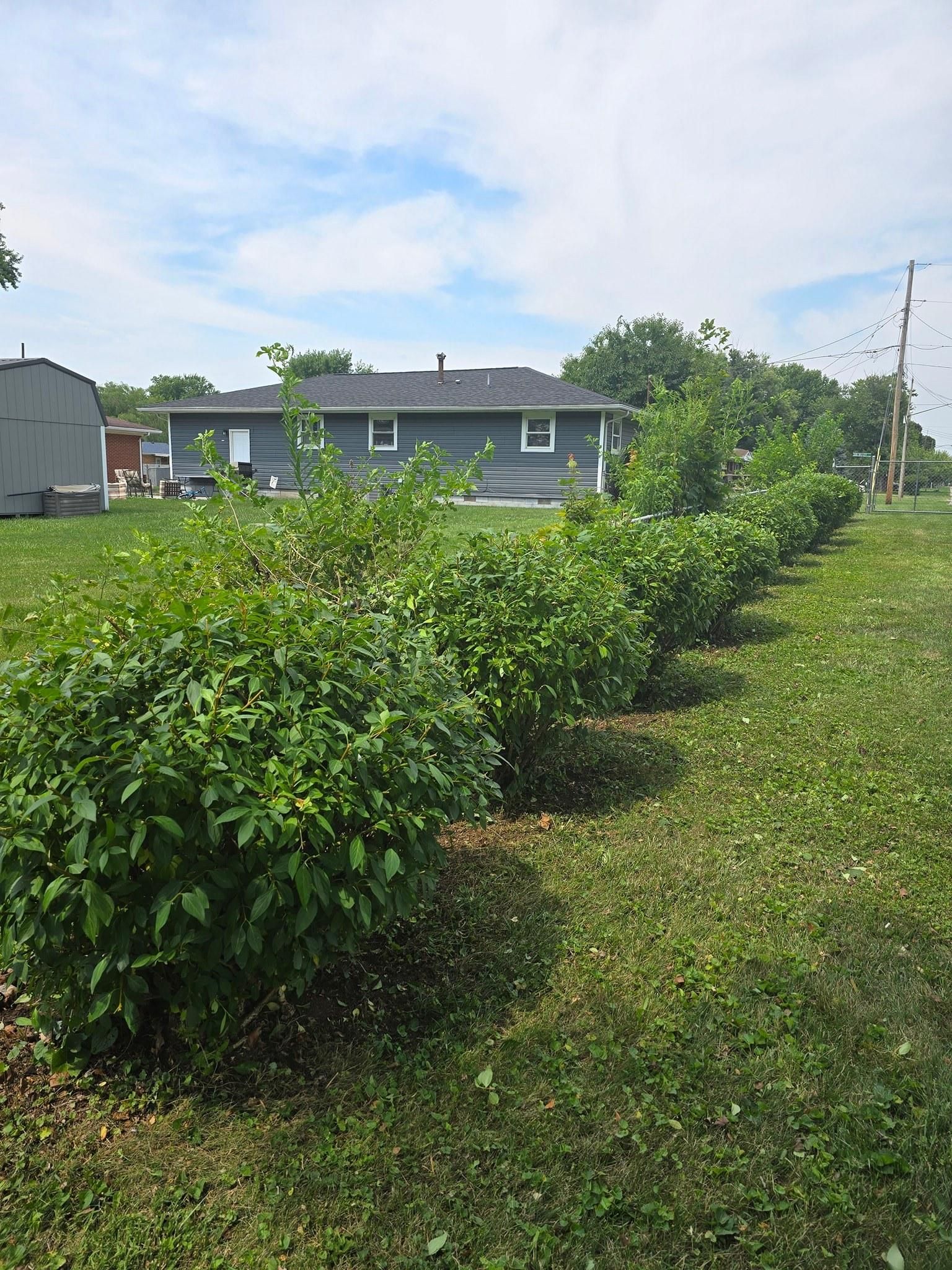 All Photos for Tingley's Green Land Services in Springfield, Ohio
