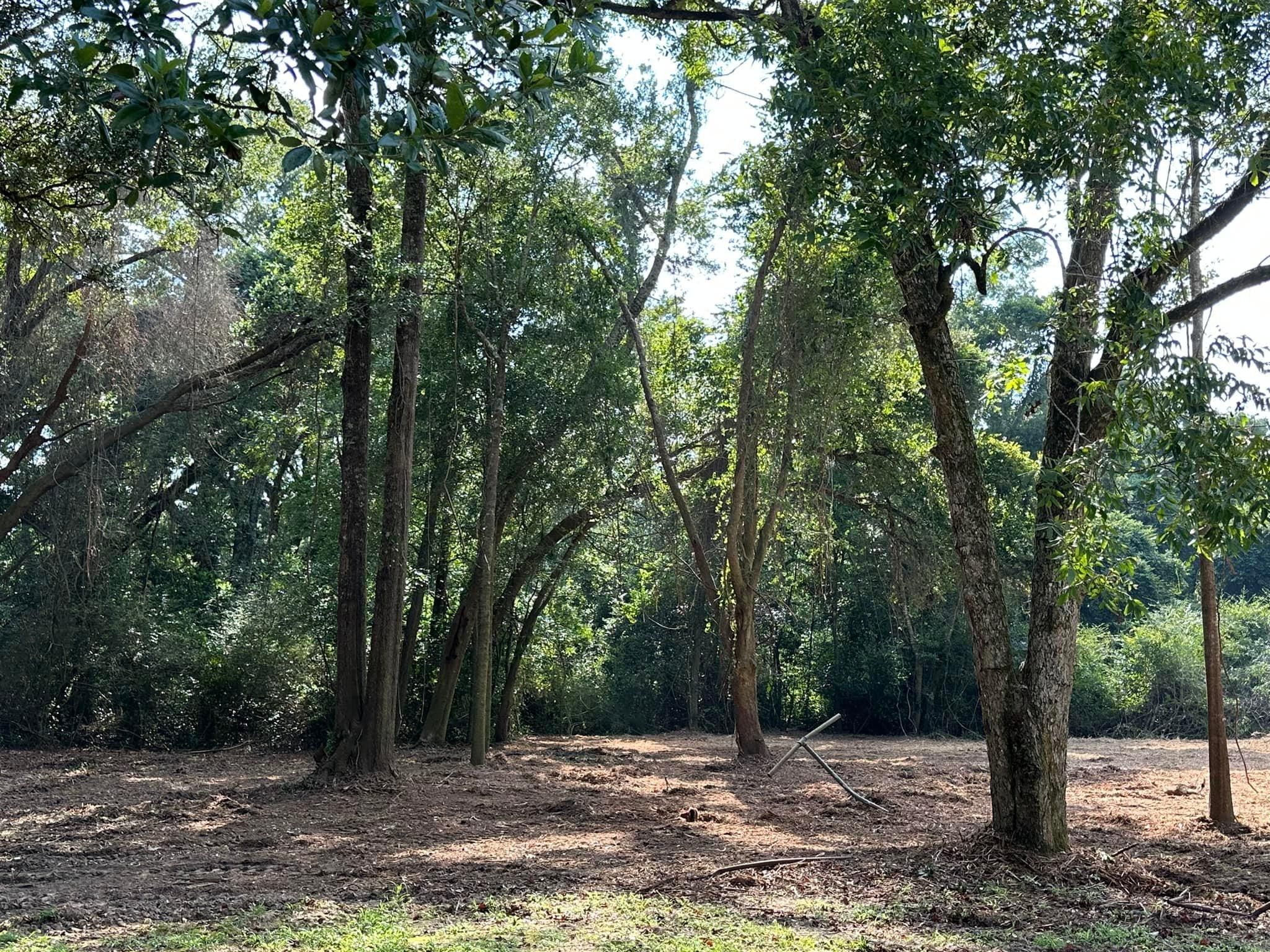 All Photos for White’s Land Maintenance in Milton,, FL