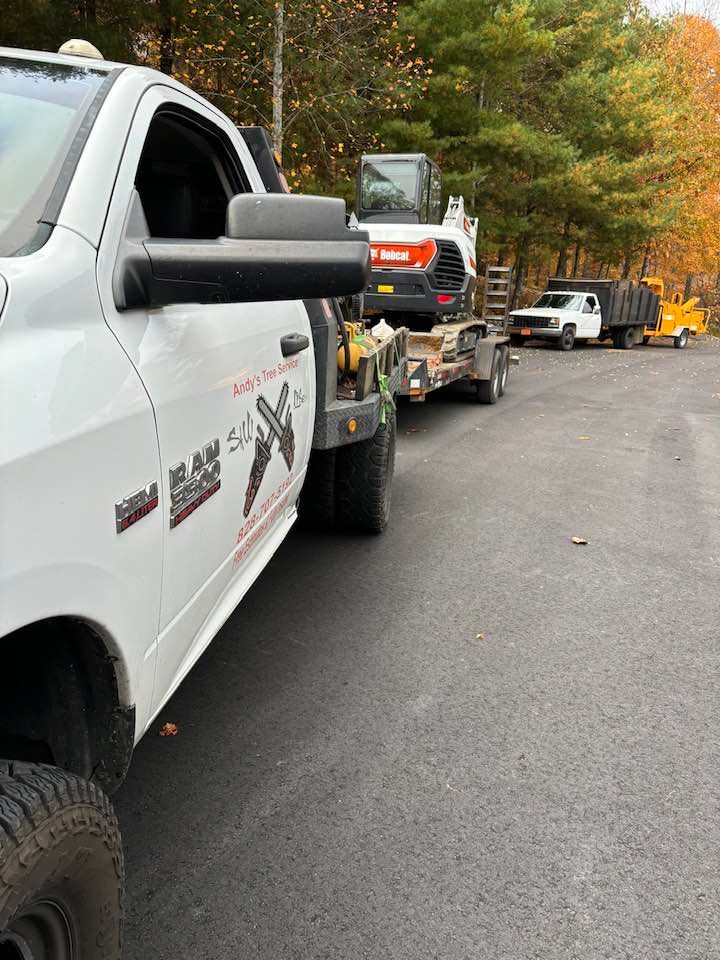  for Andy's Tree Service in Zirconia, NC