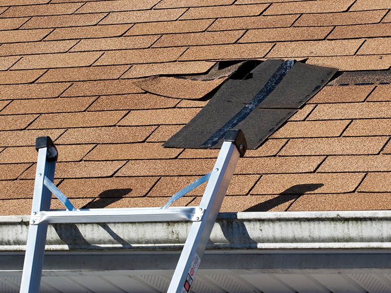 All Photos for Epix Property Solutions in Commerce City, CO