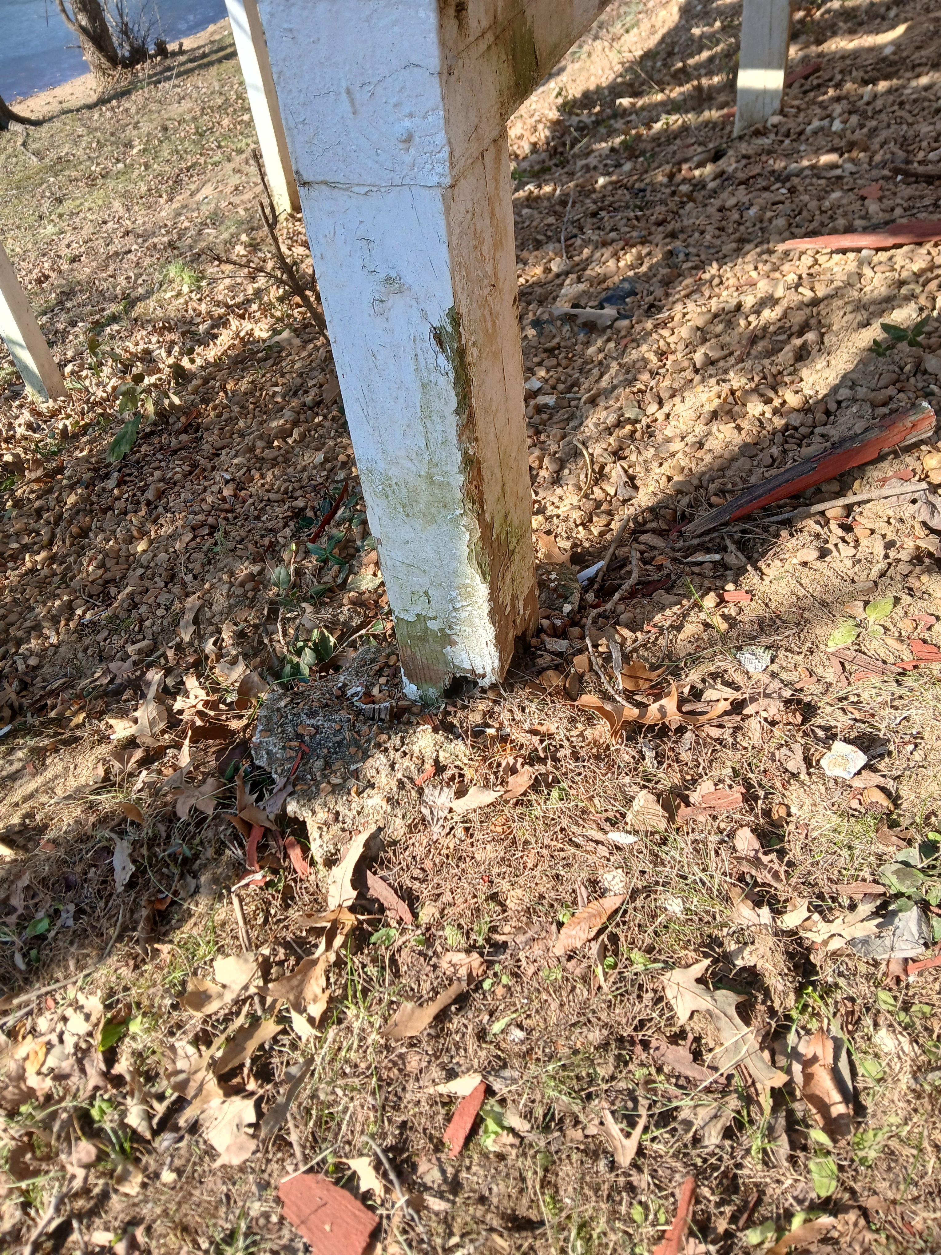  for Dead Tree General Contracting in Carbondale, Illinois