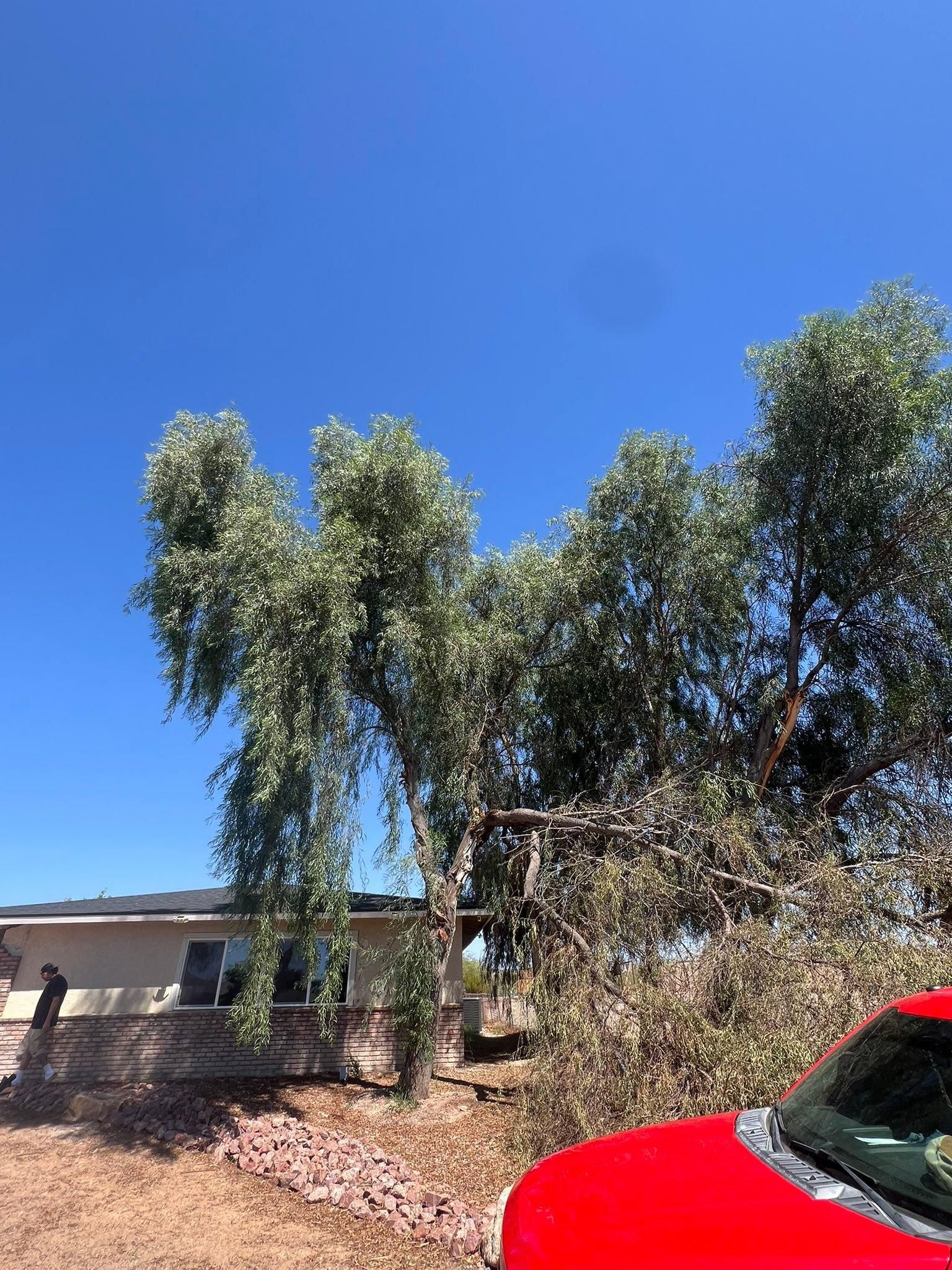  for Top Notch Landscape Services LLC in Mohave Valley, AZ