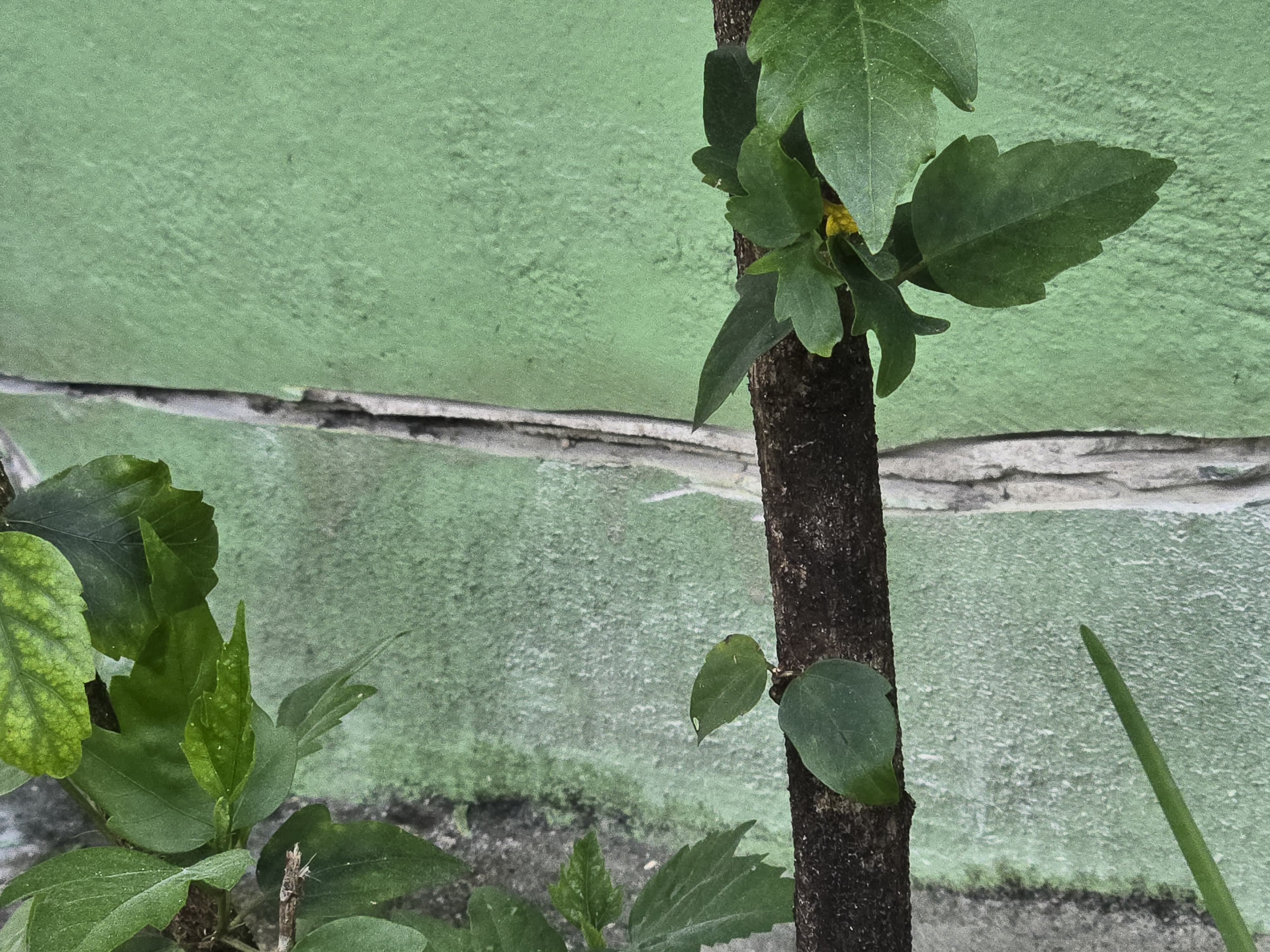  for Swaby's Handyman Services LLC in Florida City, FL