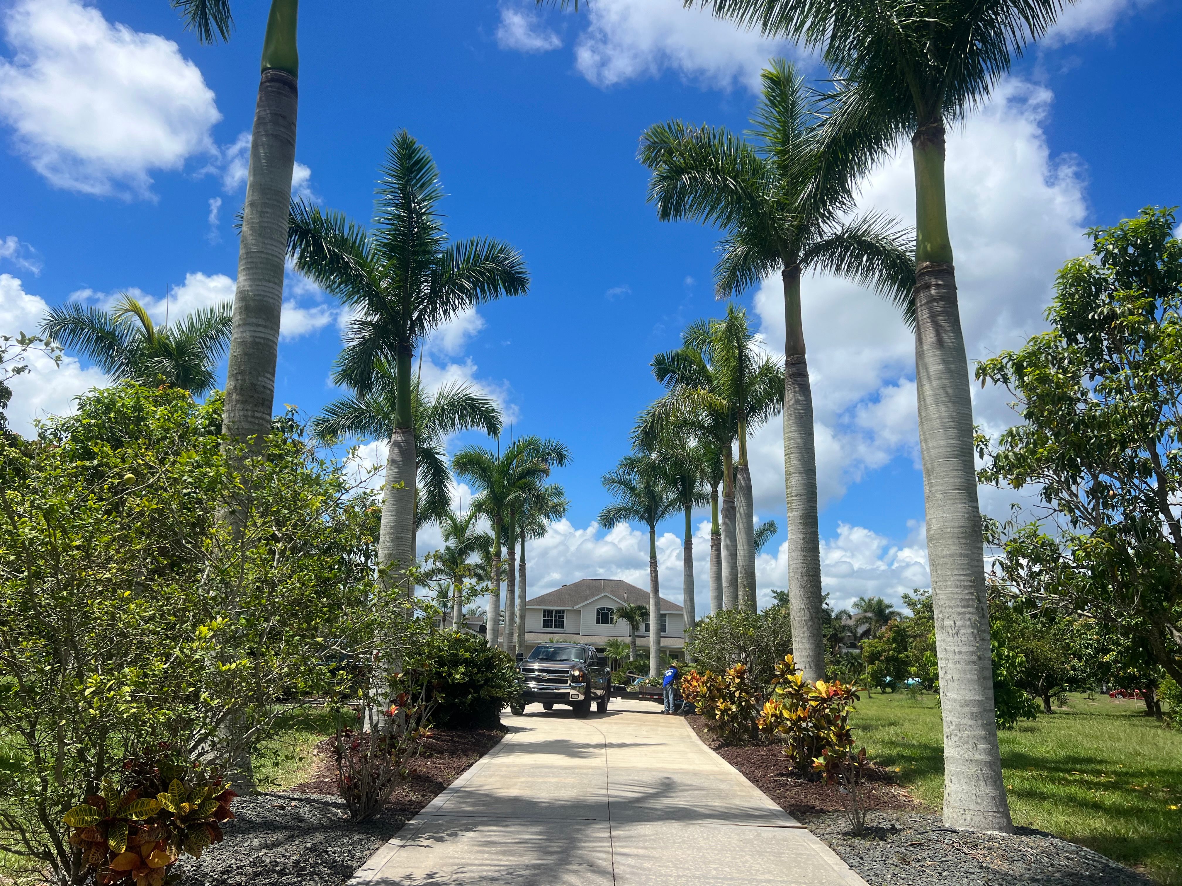 Full scale landscape designing and installations for Isaiah Simmons Construction and Landscaping LLC in Brevard County, Florida