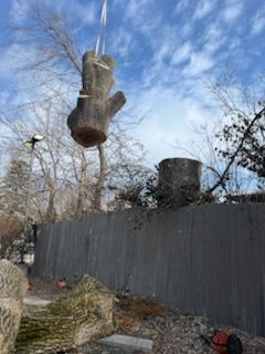  for Advanced Tree Solutions in Rockville, IN