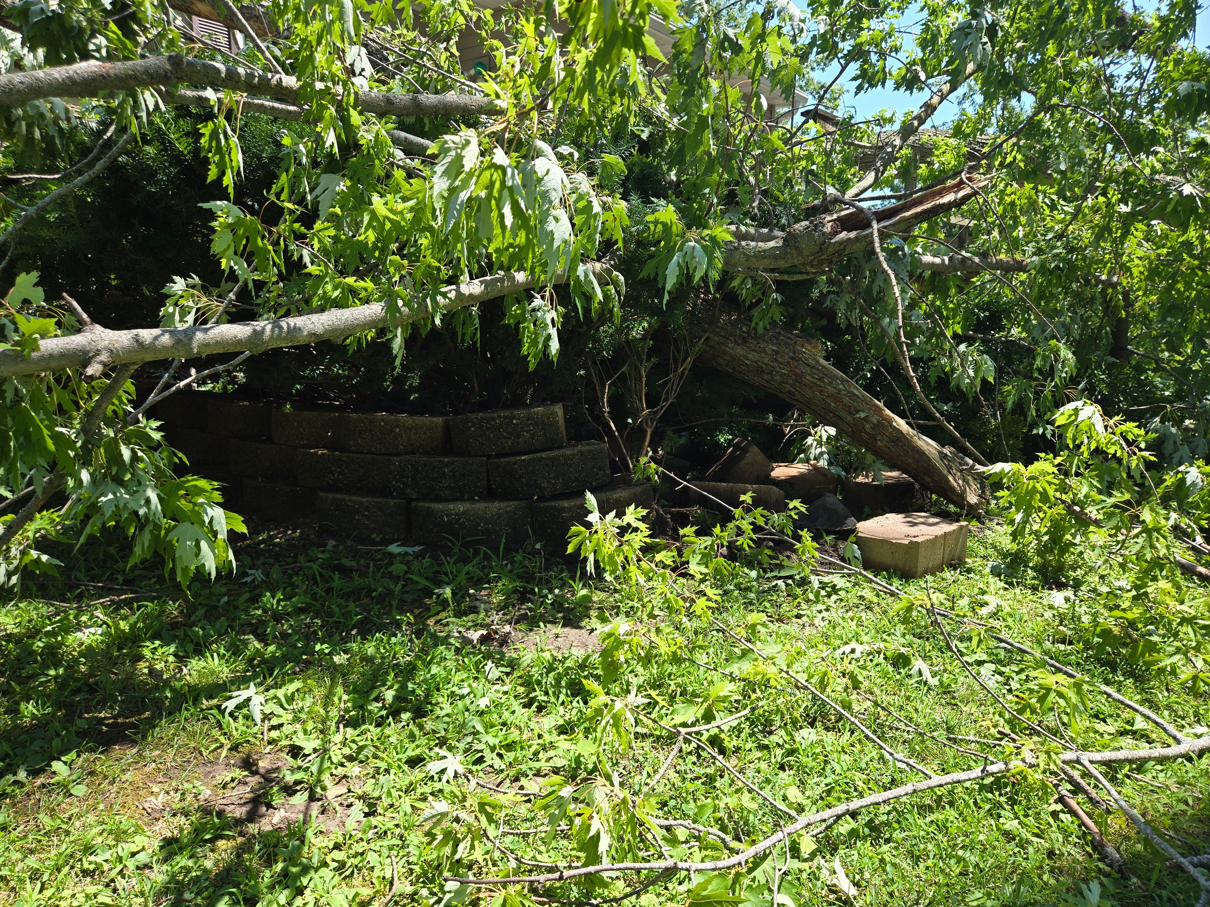  for Lawn Ranger Yard And Tree Service LLC in Ottumwa, IA