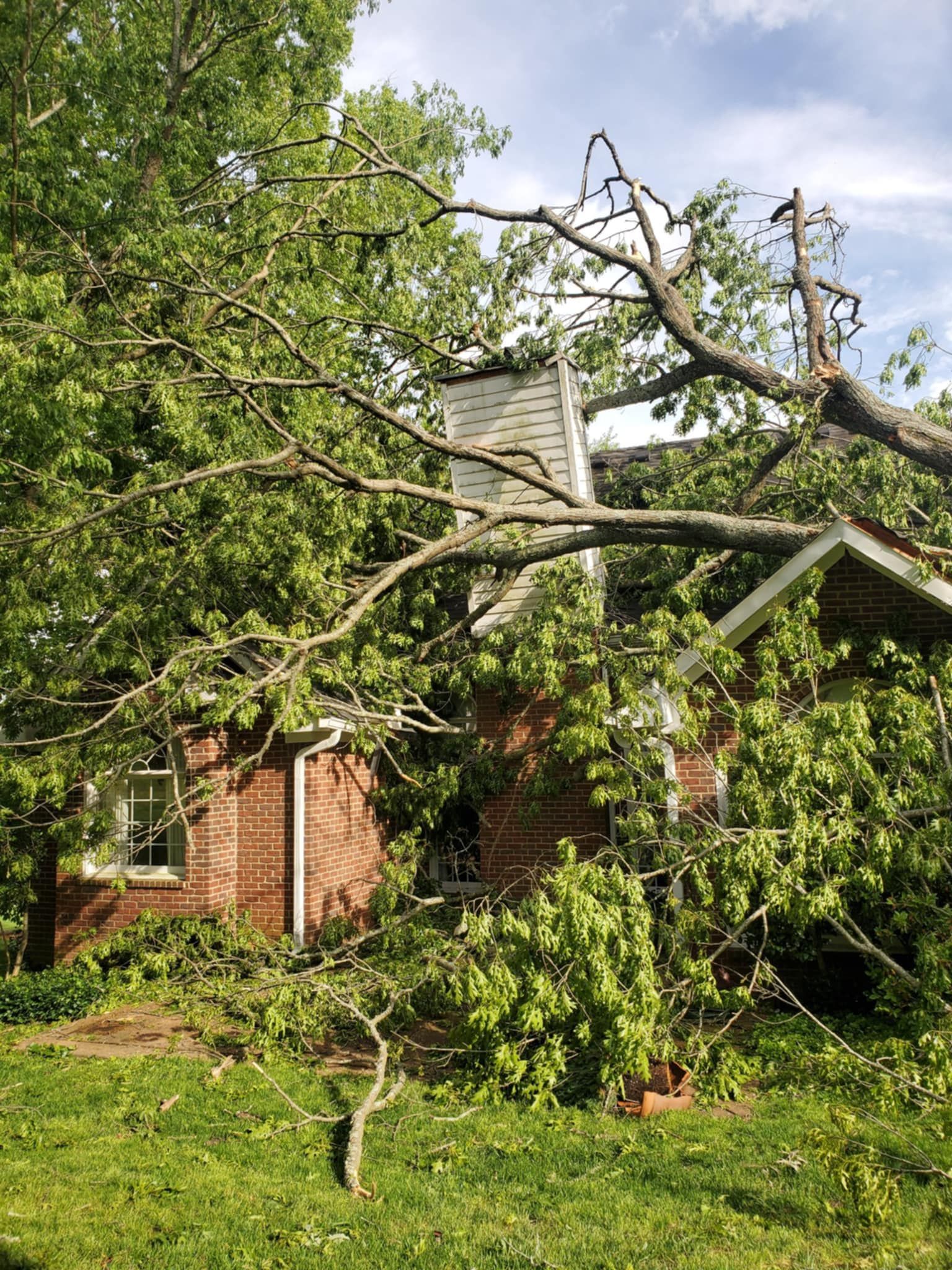  for Jace’s Tree & Stump Removal in Franklin, TN