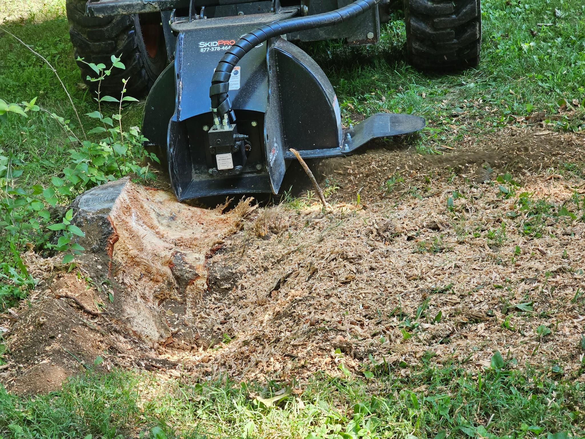  for I and R Stump Grinding in Thornville, OH