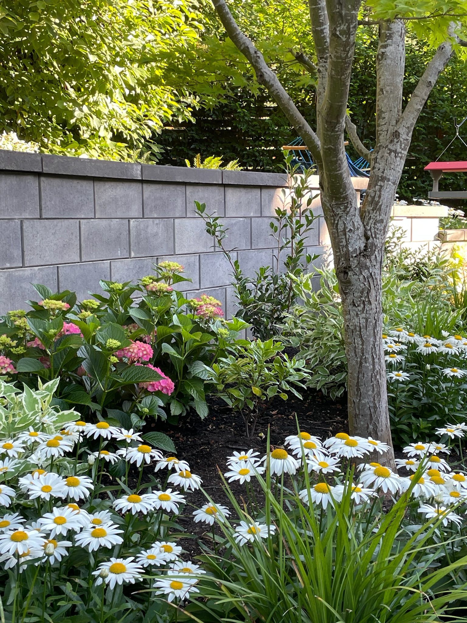  for Courtney Lewis Landscape Design in Portland, OR