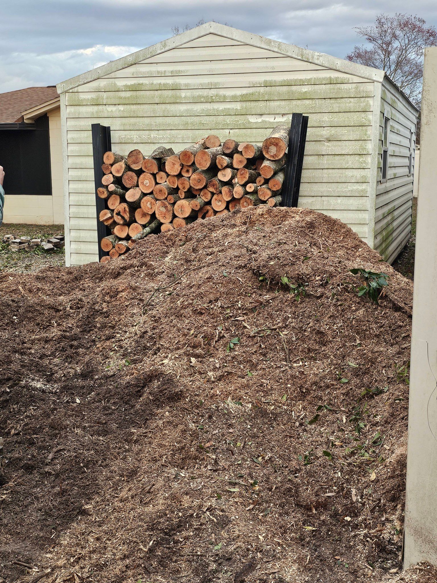  for Stumps done right LLC in Middleburg, FL