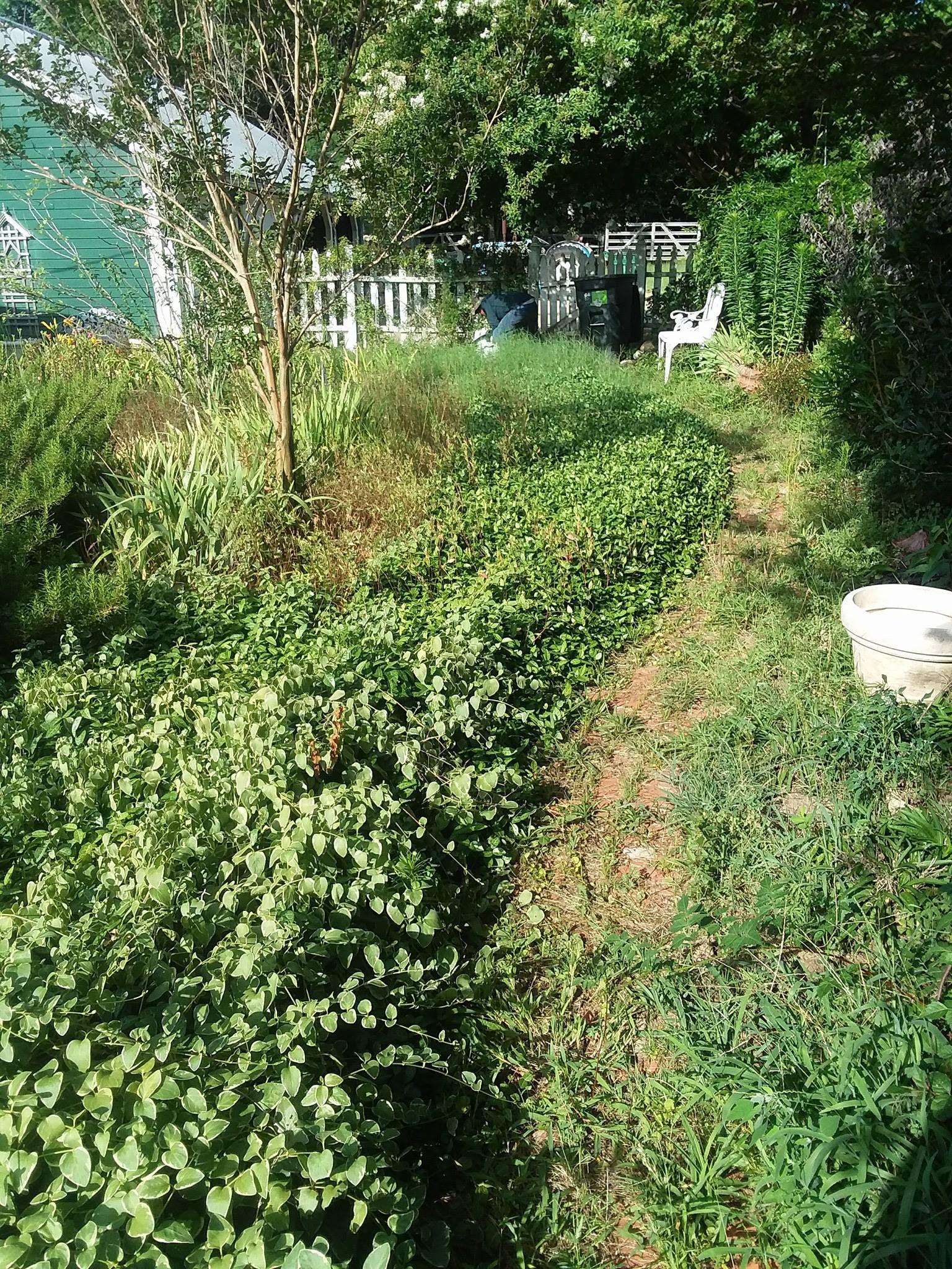 All Photos for Leon Landscaping & Tree Service in Palestine, TX