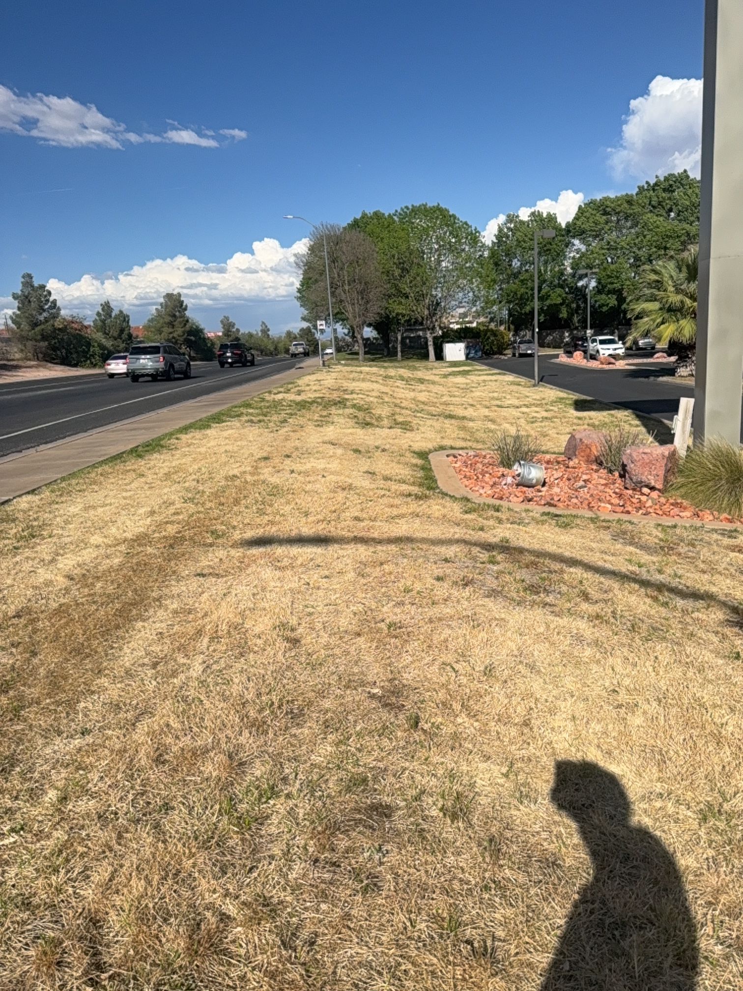  for Platinum Lawn Service in Santaquin, UT