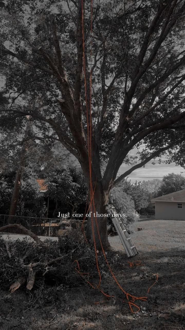  for Space Coast Property Maintenance and Management LLC in Brevard County, FL