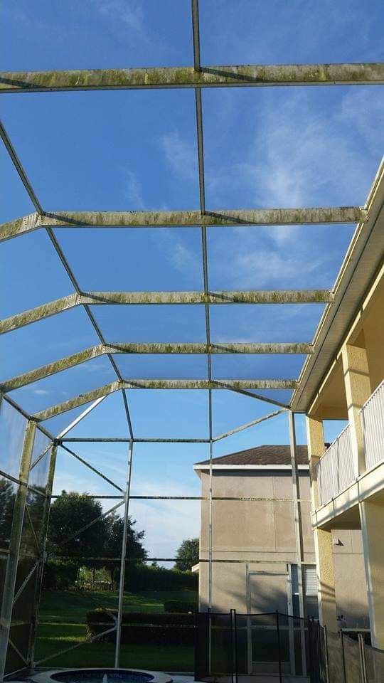  for Blue Stream Roof Cleaning & Pressure Washing in Tampa, FL