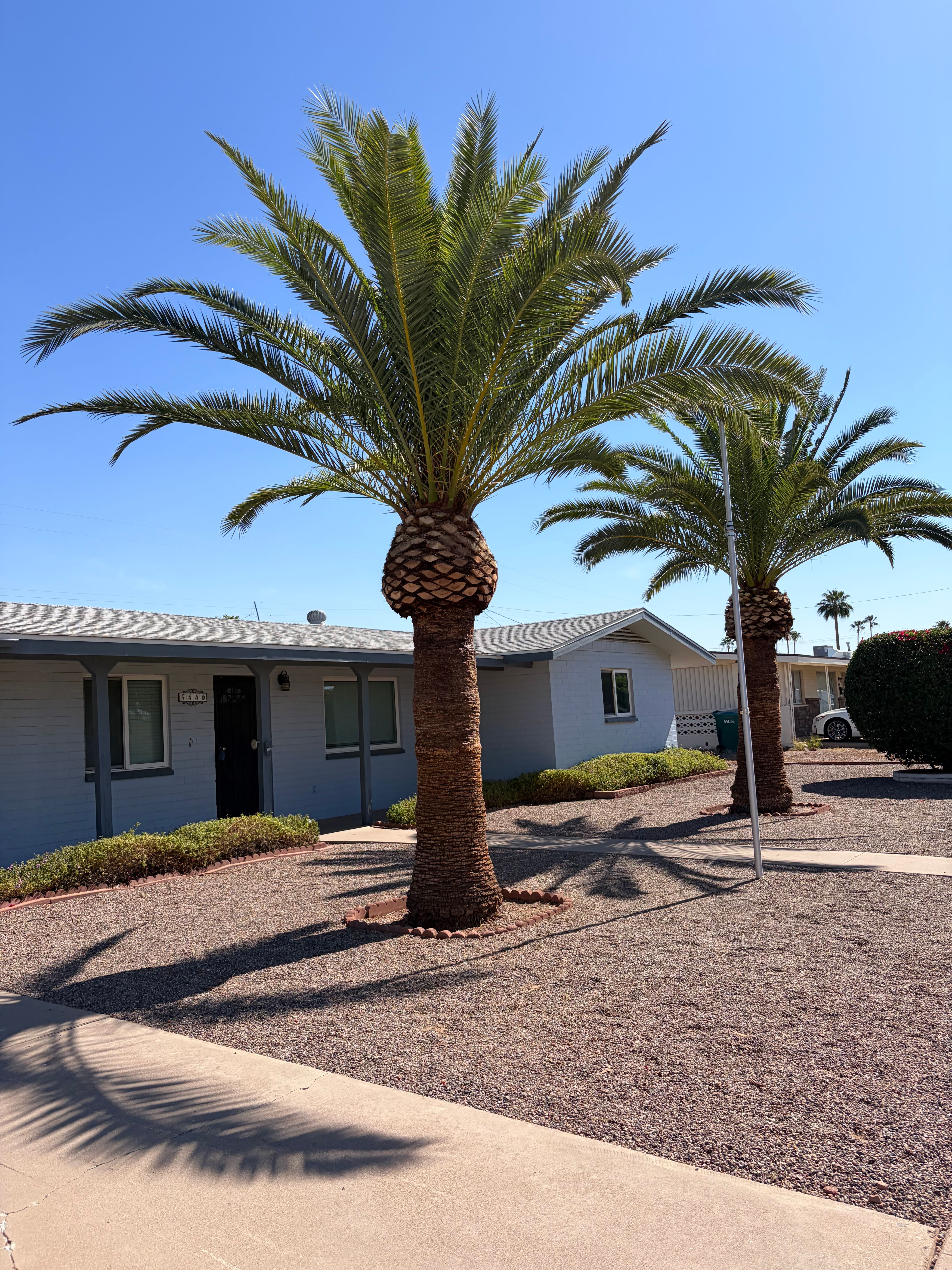  for Copperhead Solution in Phoenix, Arizona