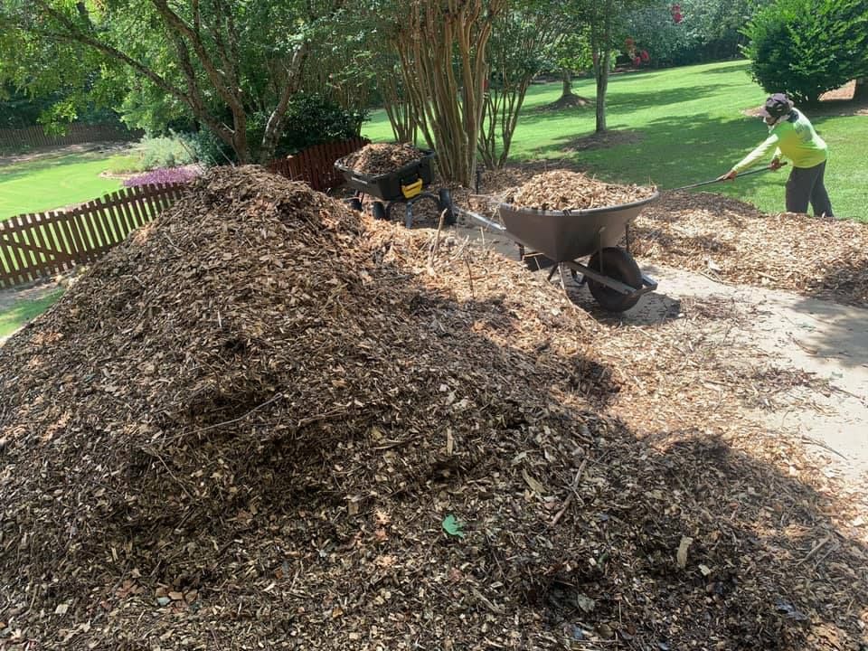 Landscaping for JIF Concrete Services in Greenville, SC