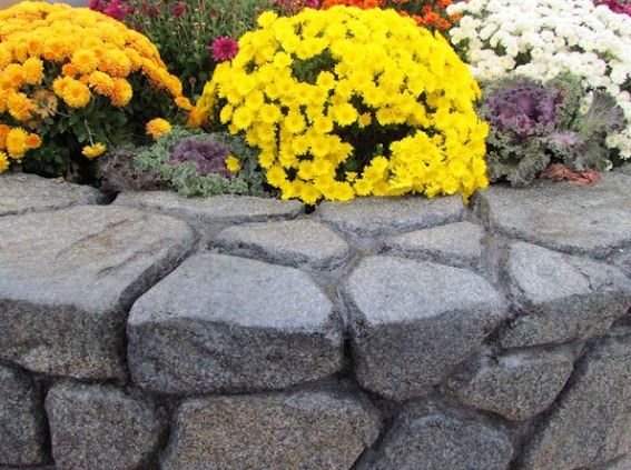  for Jacks Lawn & Landscape LLC  in Hastings, NE