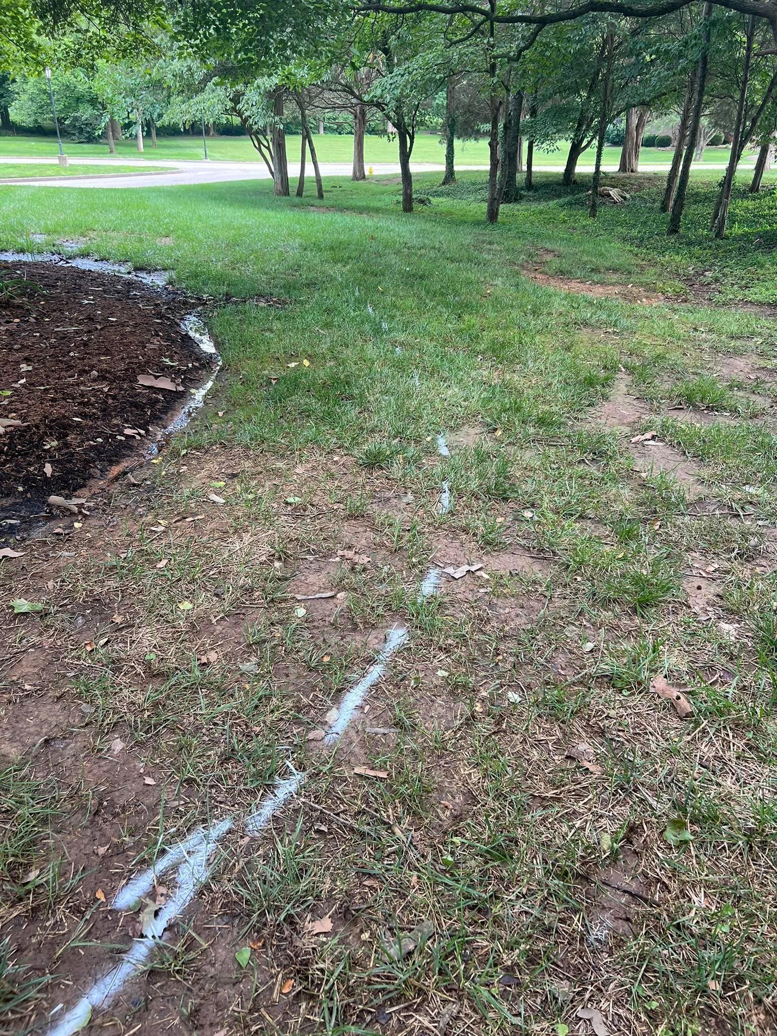  for Full Service Landscaping in Louisville, KY