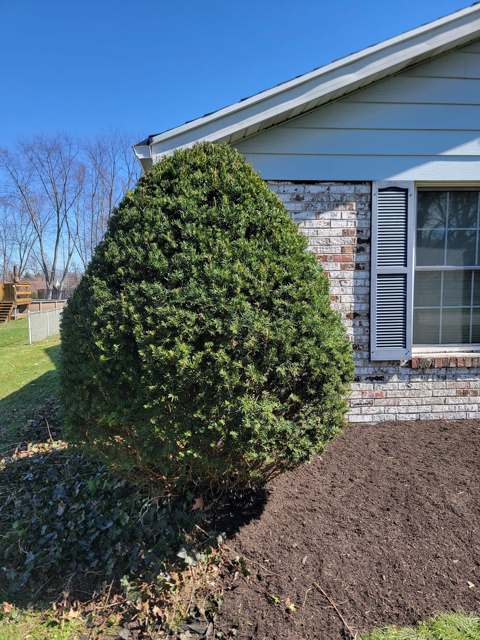 All Photos for Tingley's Green Land Services in Springfield, Ohio