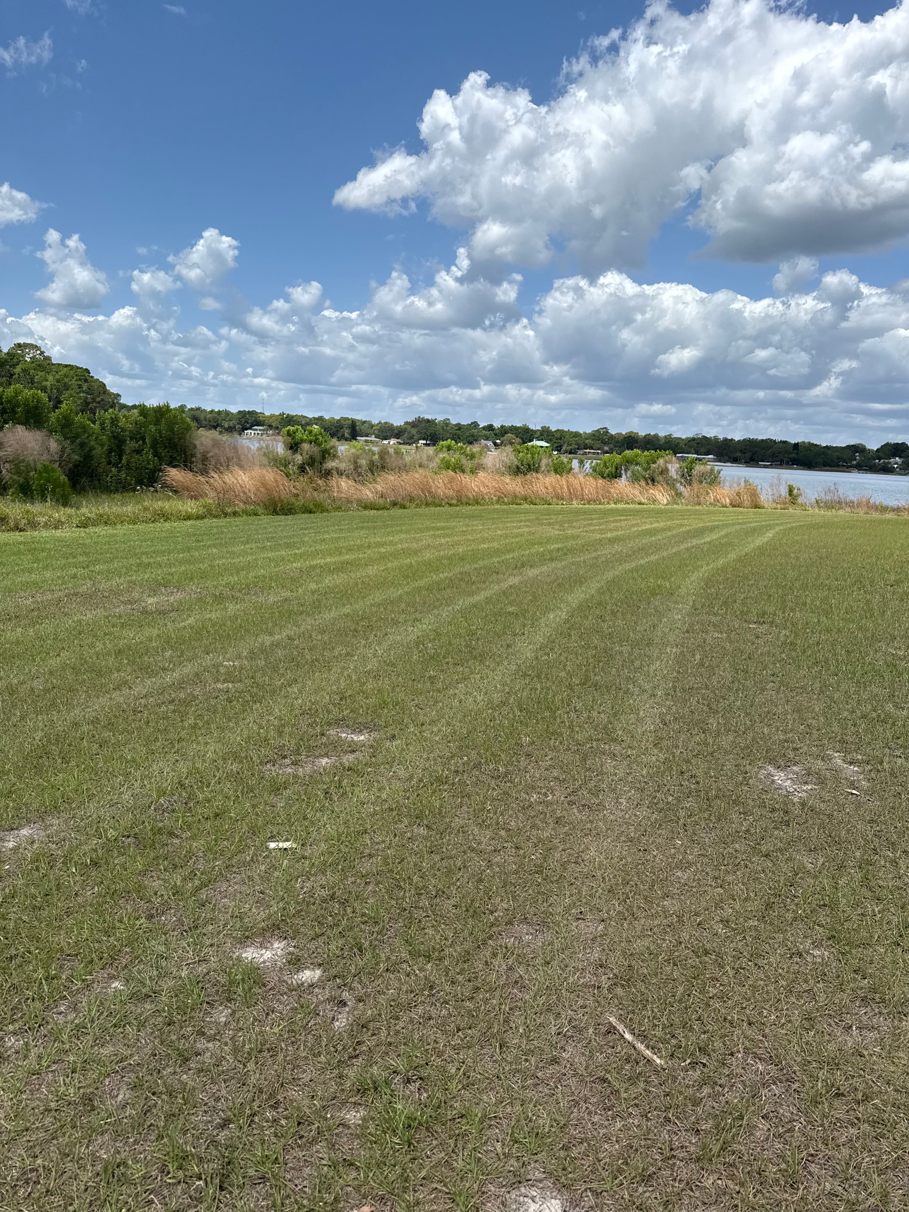  for Amerigrown Tree And Lawn in Apopka, FL