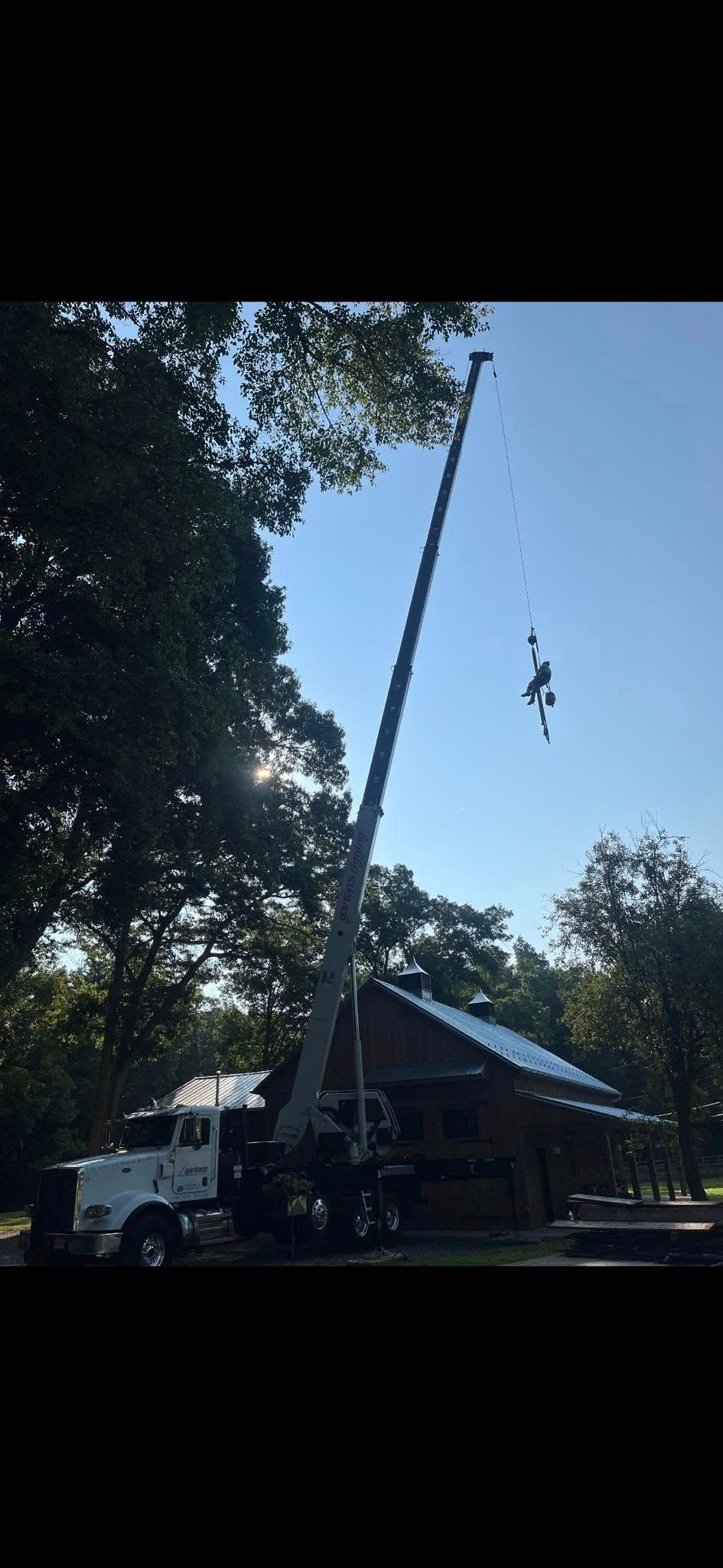 Tree Removal for Melnyk’s Tree Service in Salem County, NJ