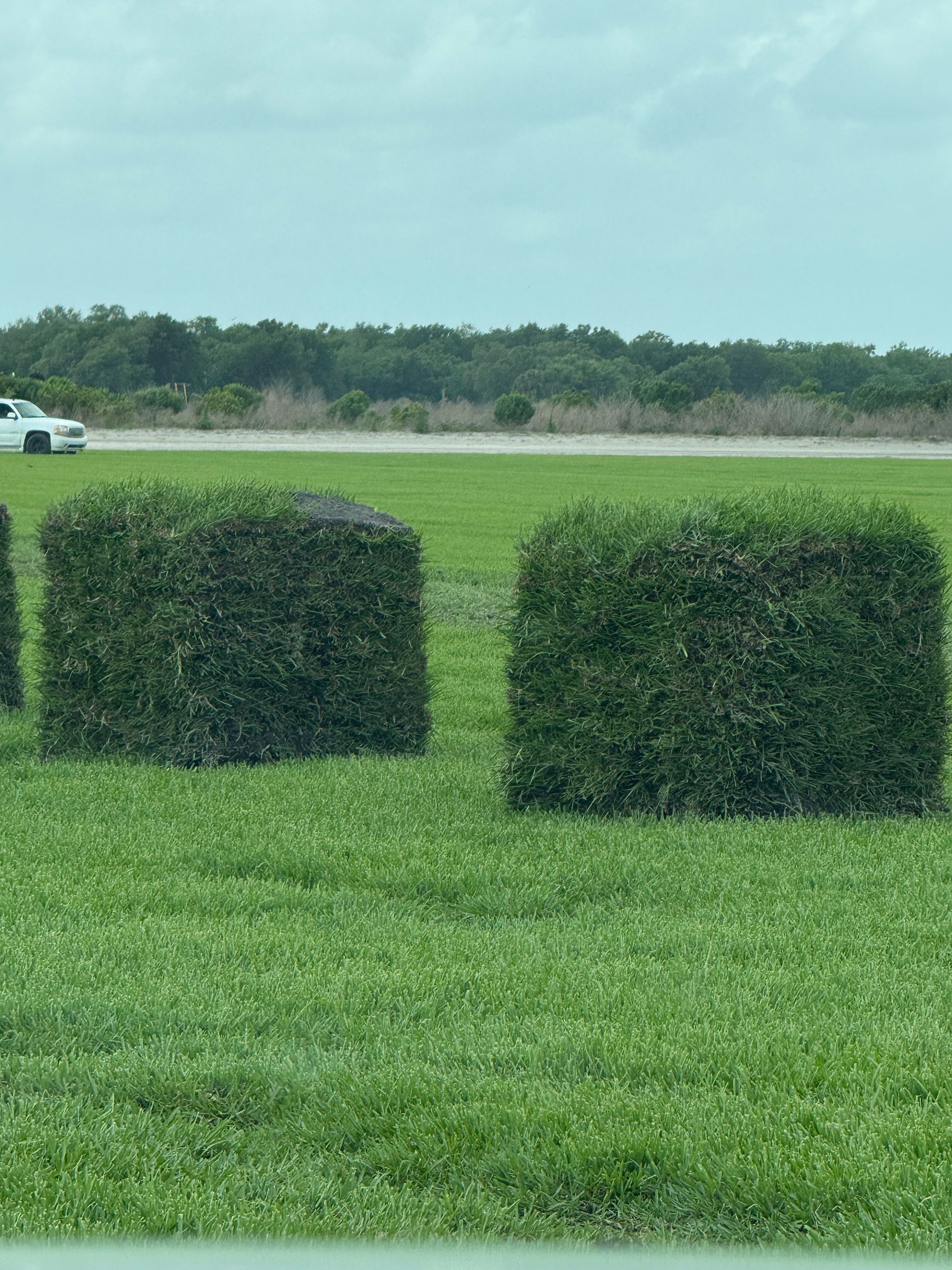 for BH Lawn and Landscape in Fort Myers, FL