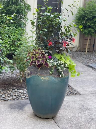  for Courtney Lewis Landscape Design in Portland, OR