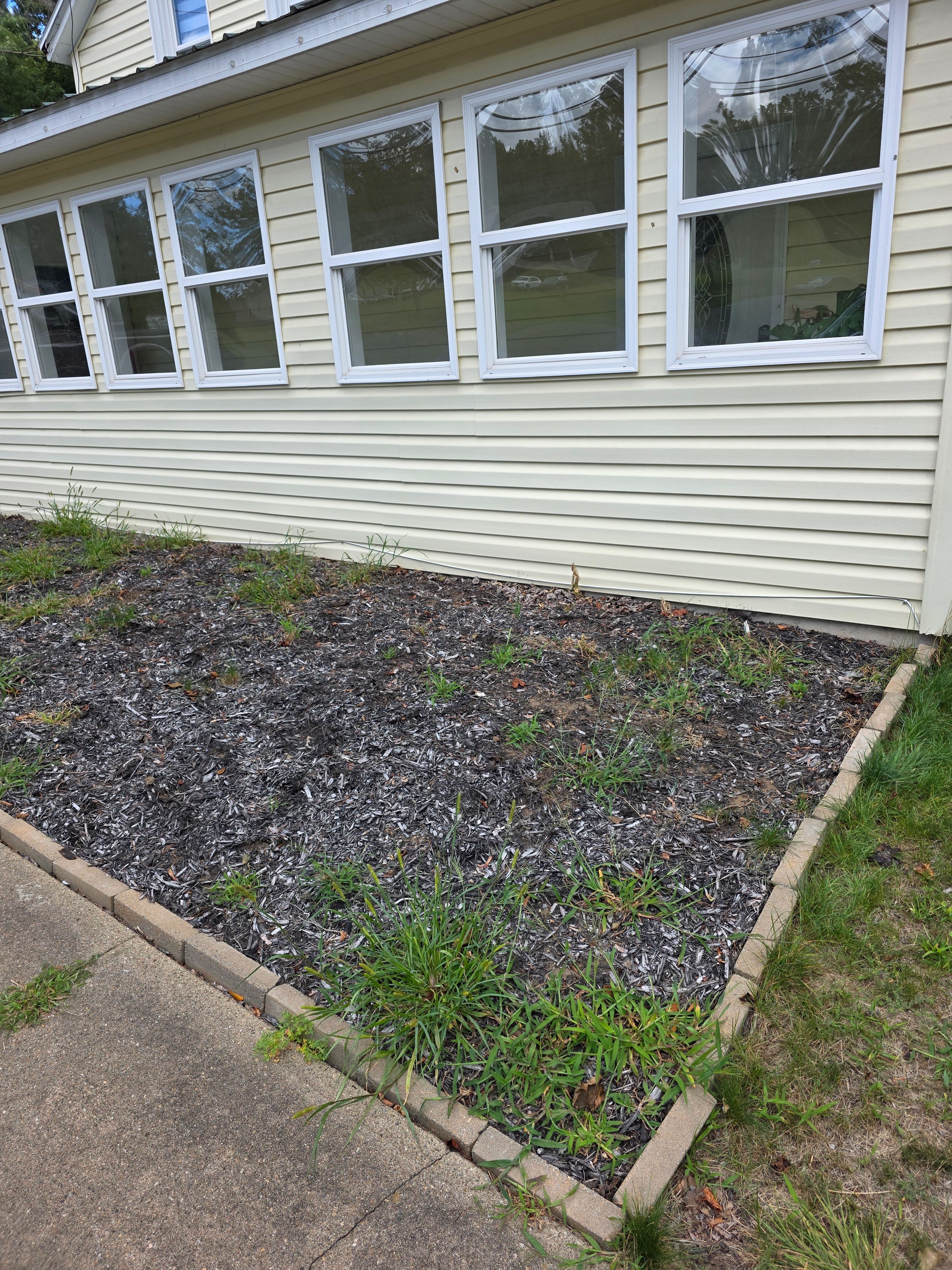  for Sweet Scapes in Ballston Spa, NY