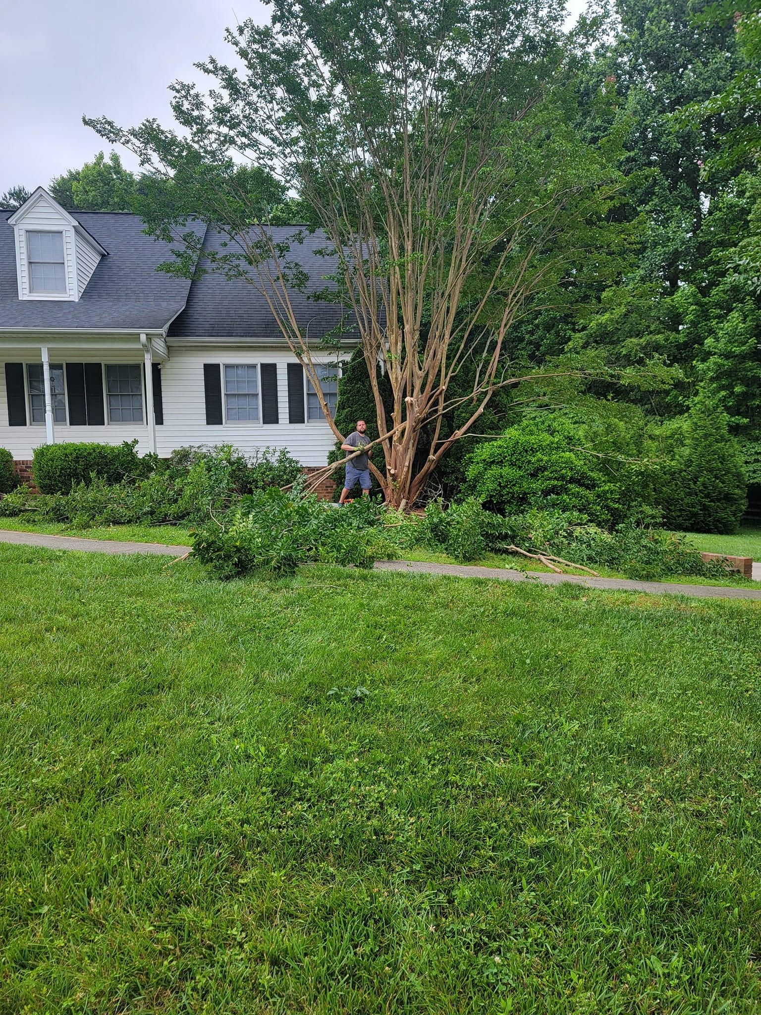  for Piedmont Lawn and Landscaping in Lexington, NC