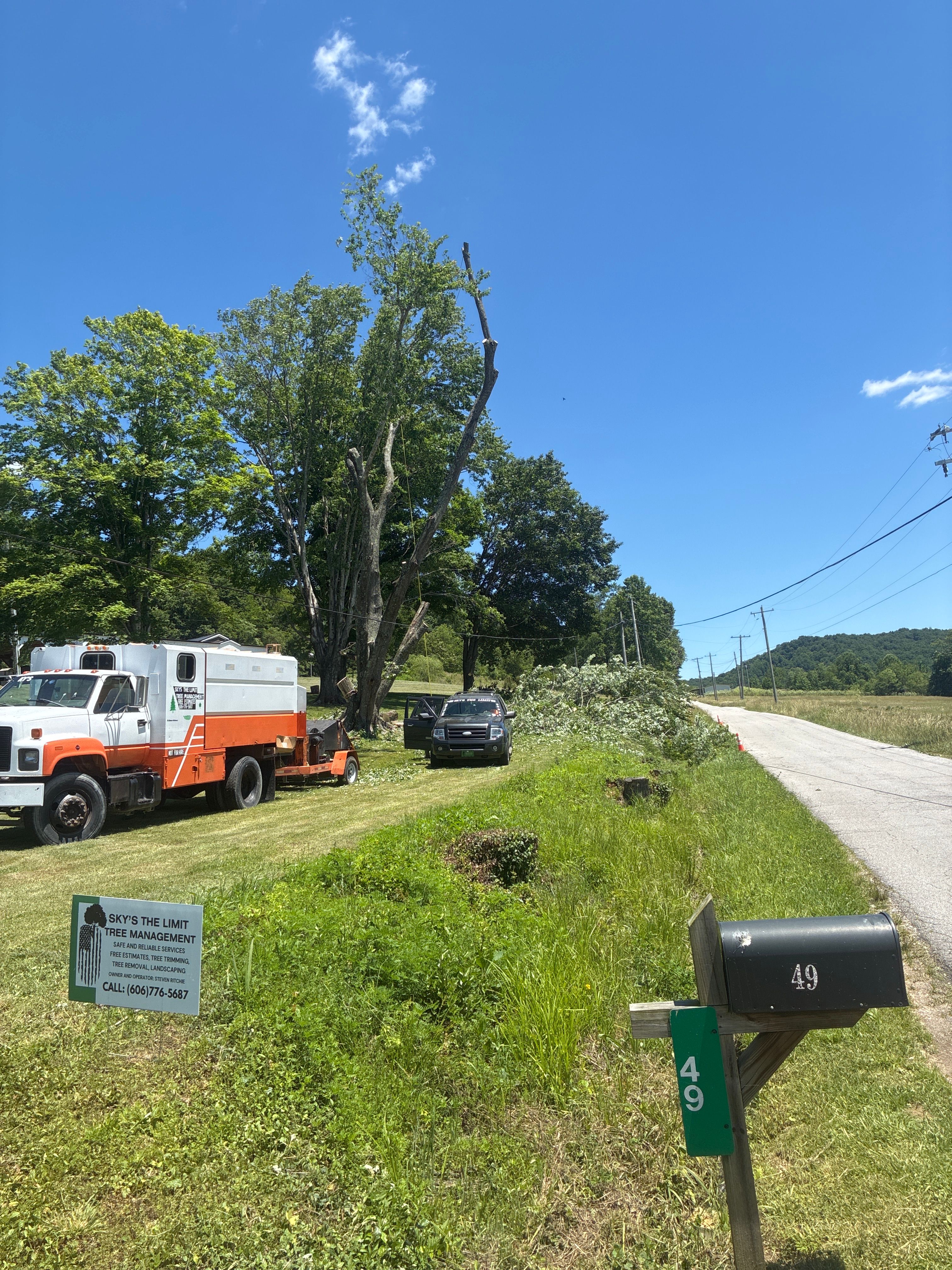  for Skys The Limit Tree Management in Morehead, KY