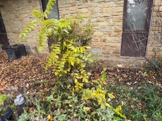  for Bearforce Lawn Care LLC in Greenfield, IN