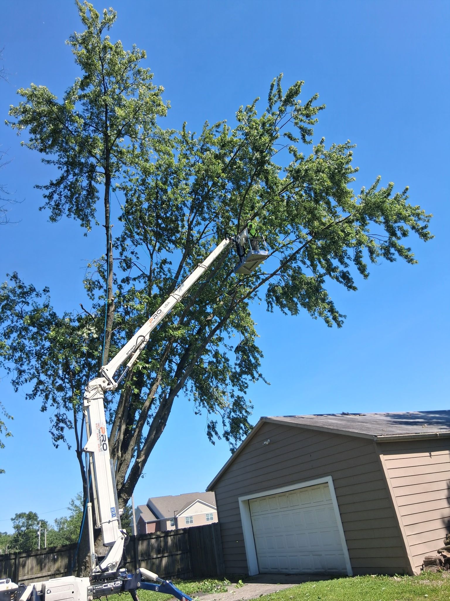 All Photos for Pro Tree Trim & Removal, Llc in Dayton, OH