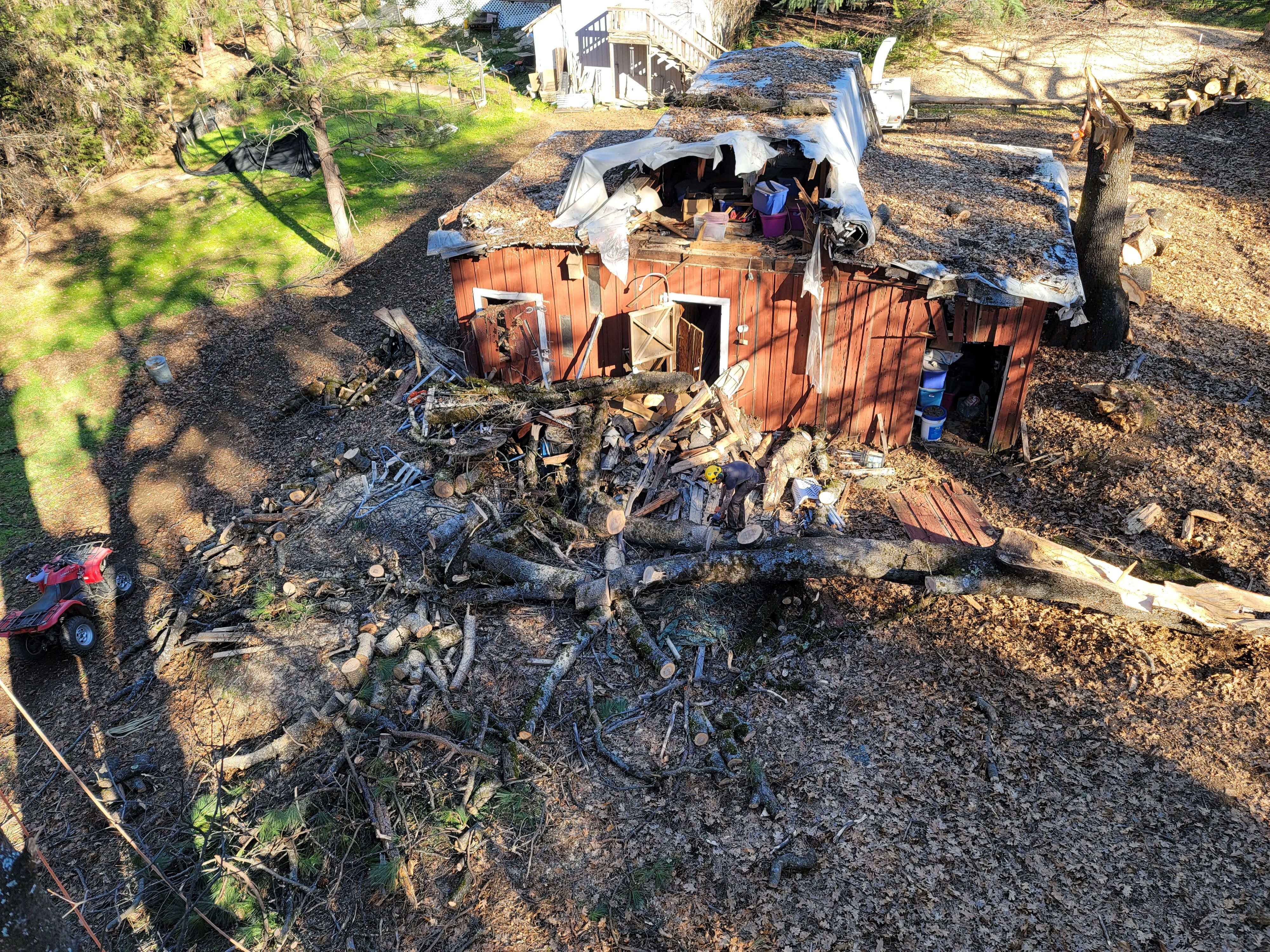  for George Staddan's Professional Tree Care in Placerville, CA